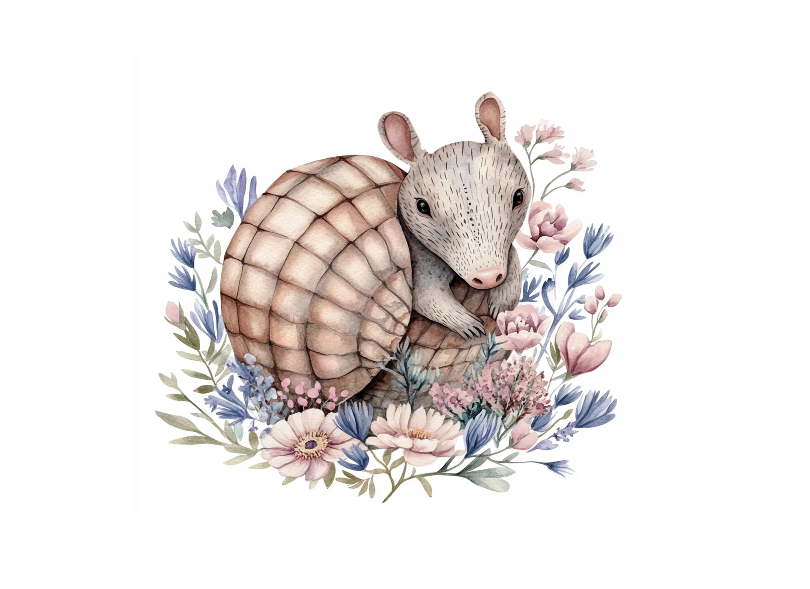 Charming Armadillo Clipart Bundle