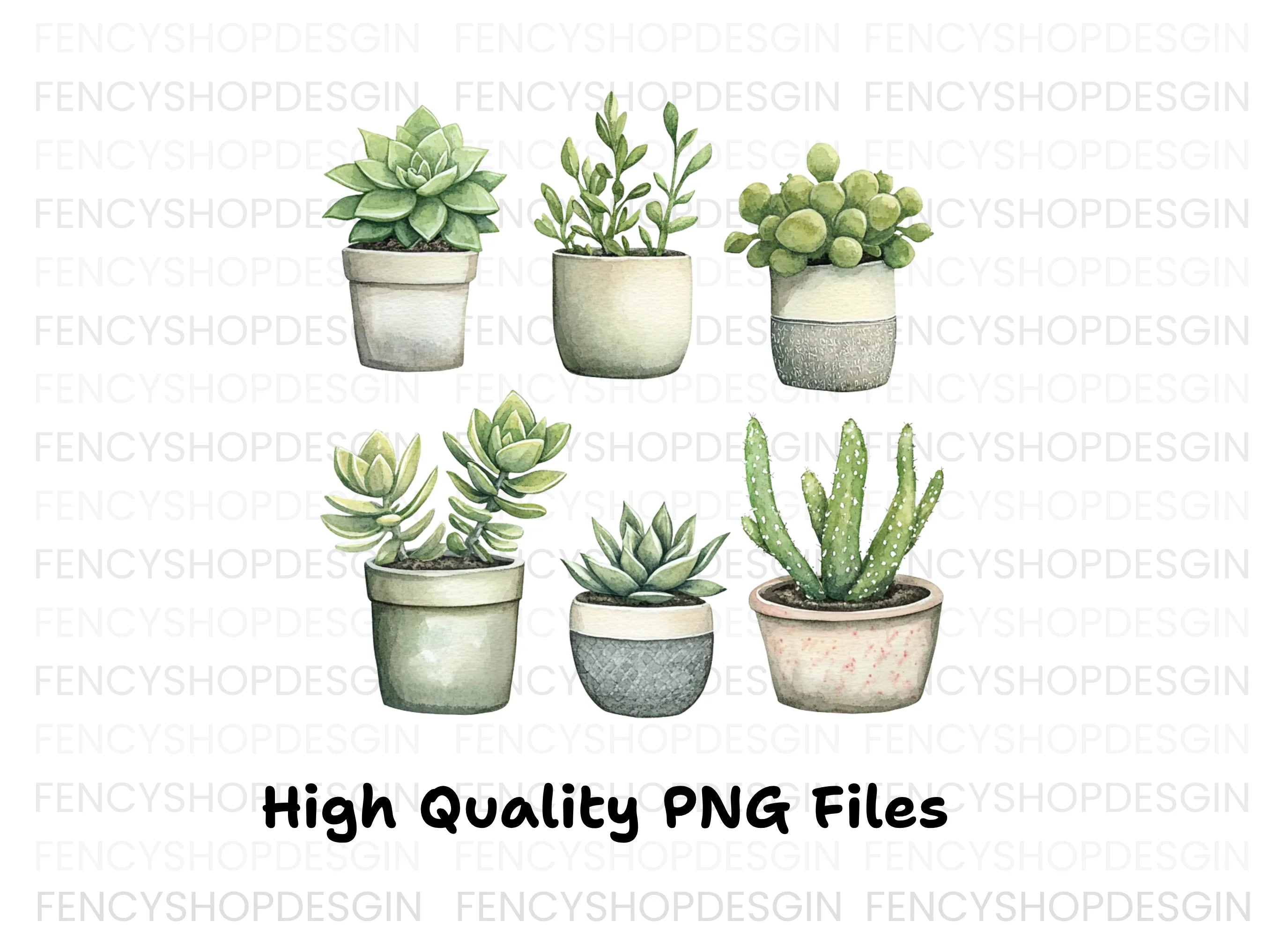 Succulent Clipart Bundle