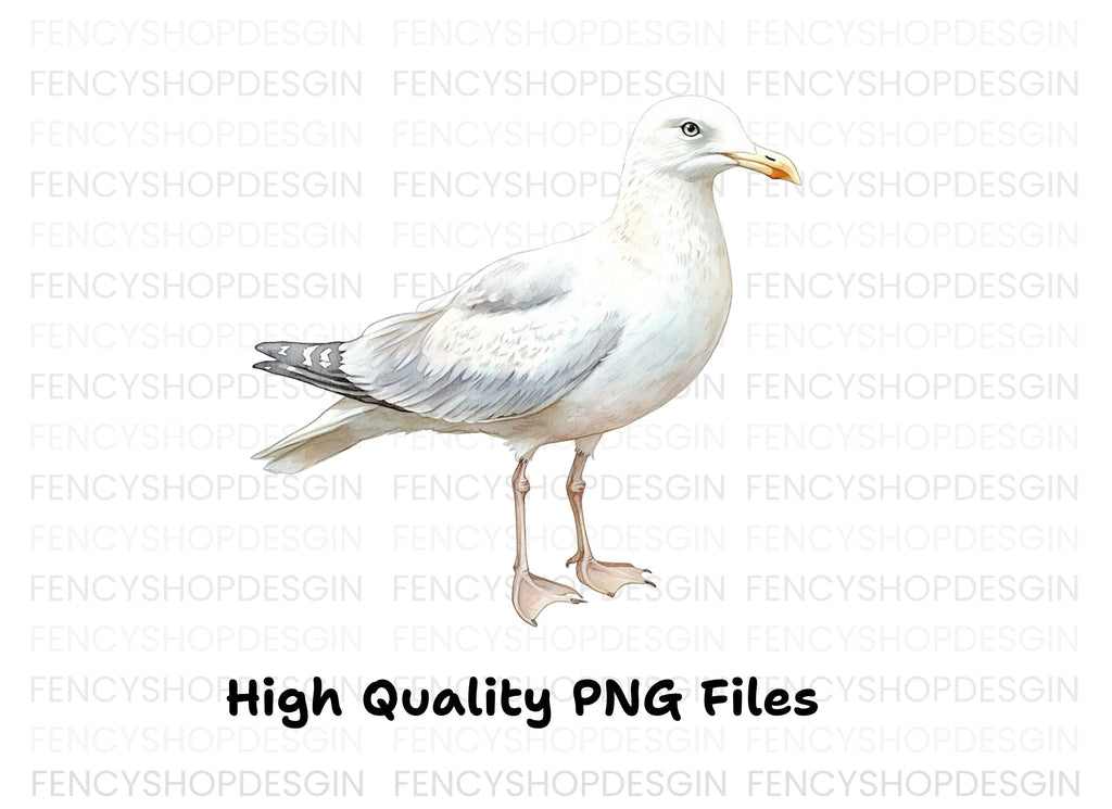 Realistic Seagull Clipart Bundle