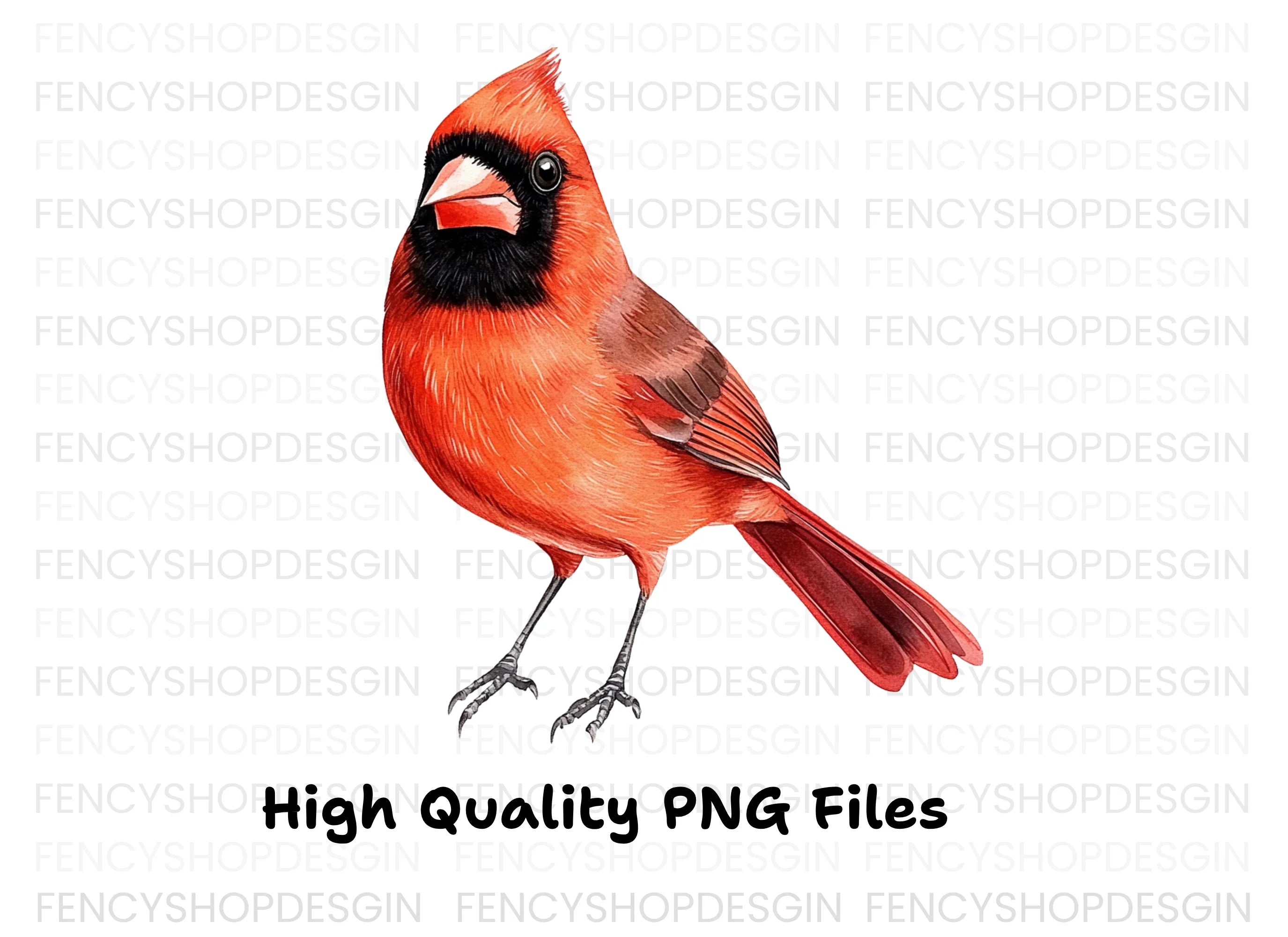 Vibrant Red Cardinal Bird Clipart Bundle