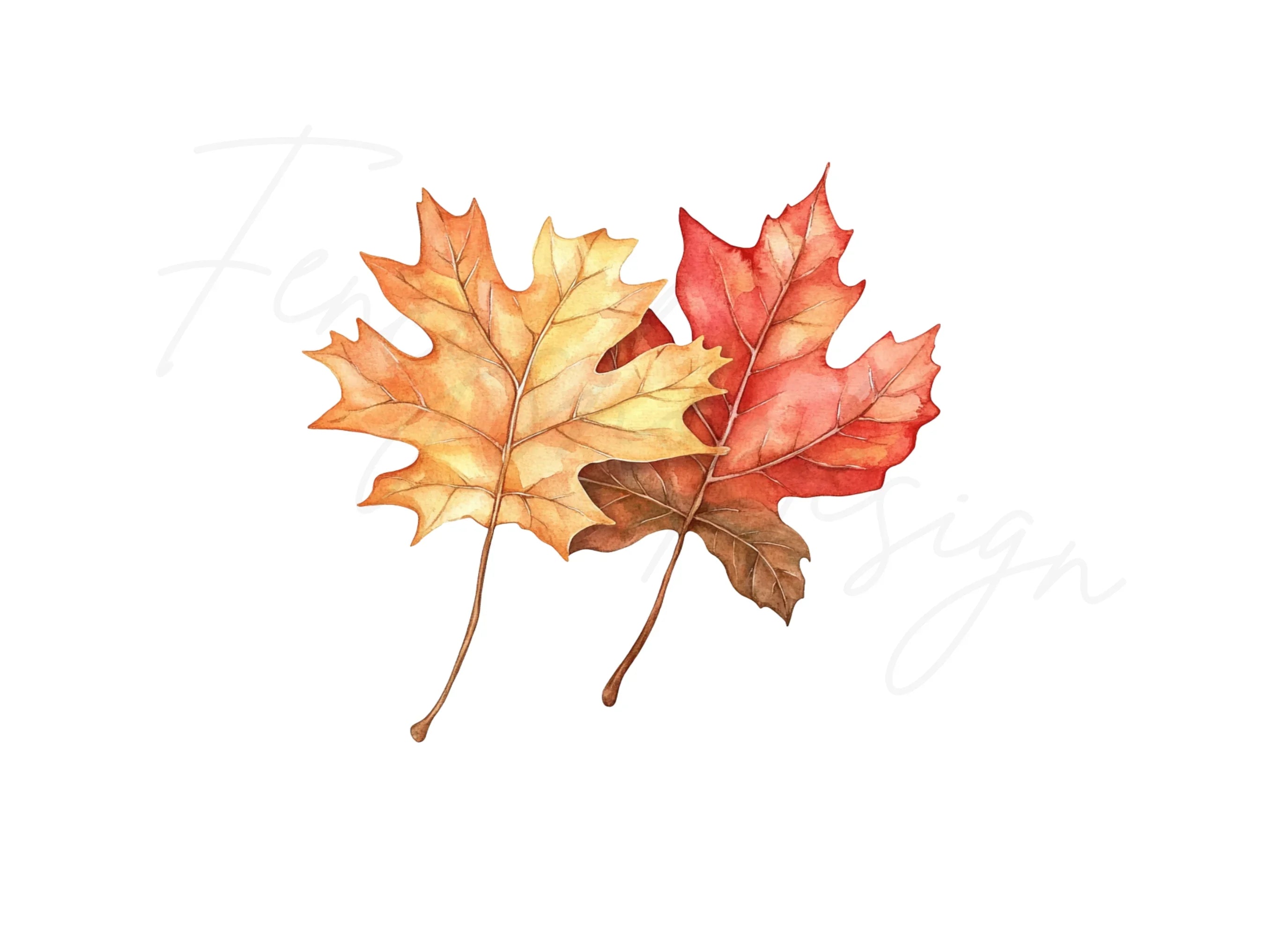 Vibrant Fall Maple Leaves Clipart Bundle