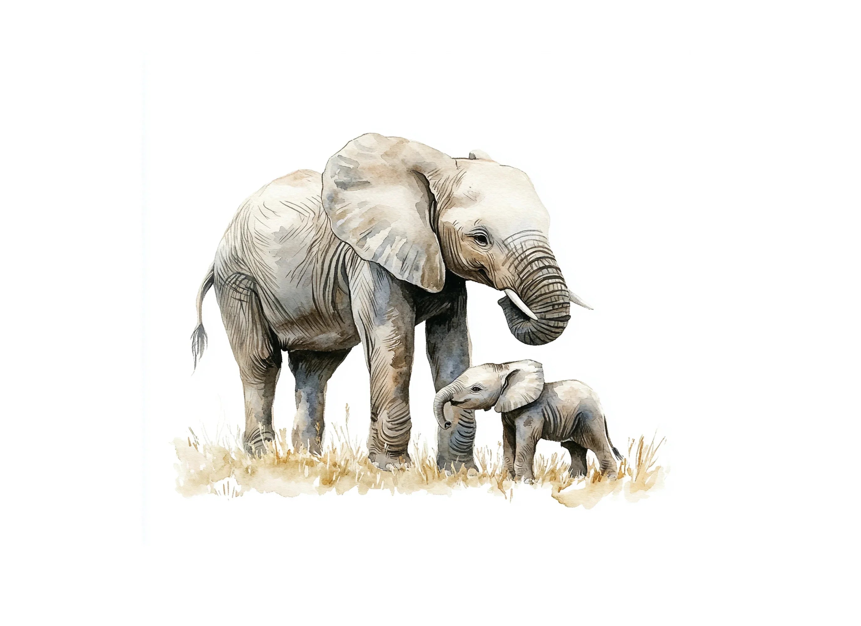 Elephant Mother and Baby Clipart Bundle
