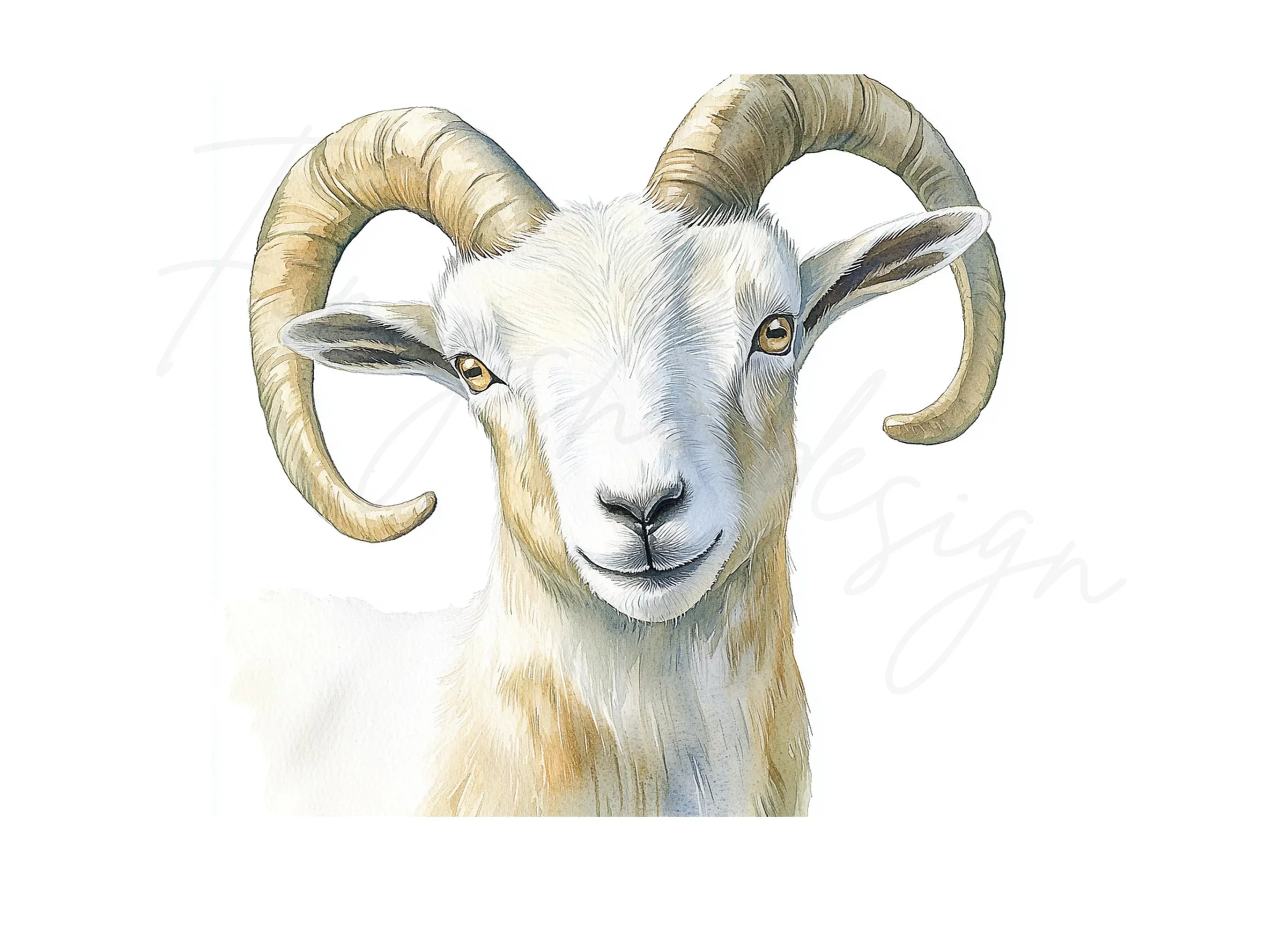 Majestic Ram Head Clipart Bundle