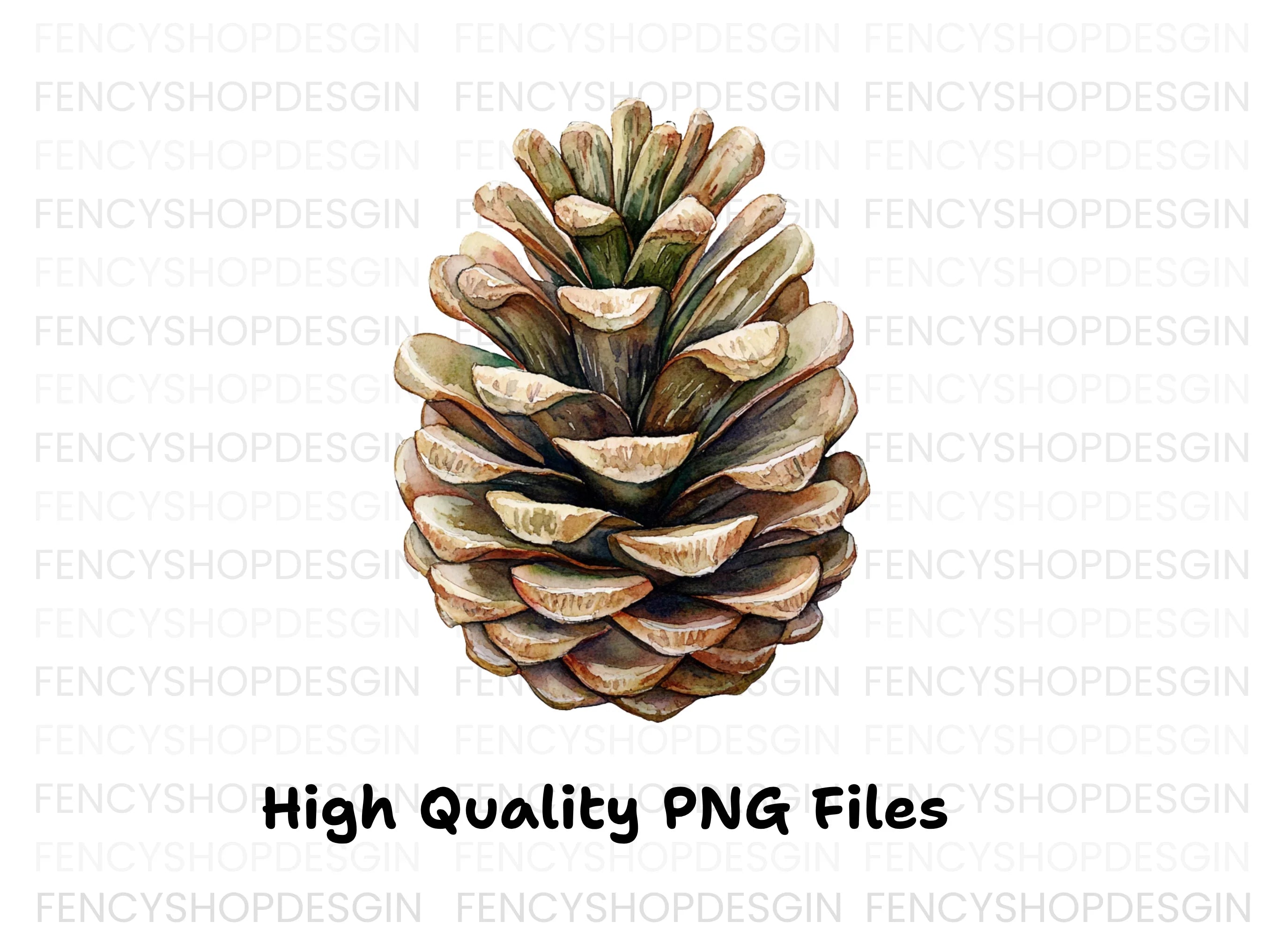 Realistic Pine Cone Clipart Bundle