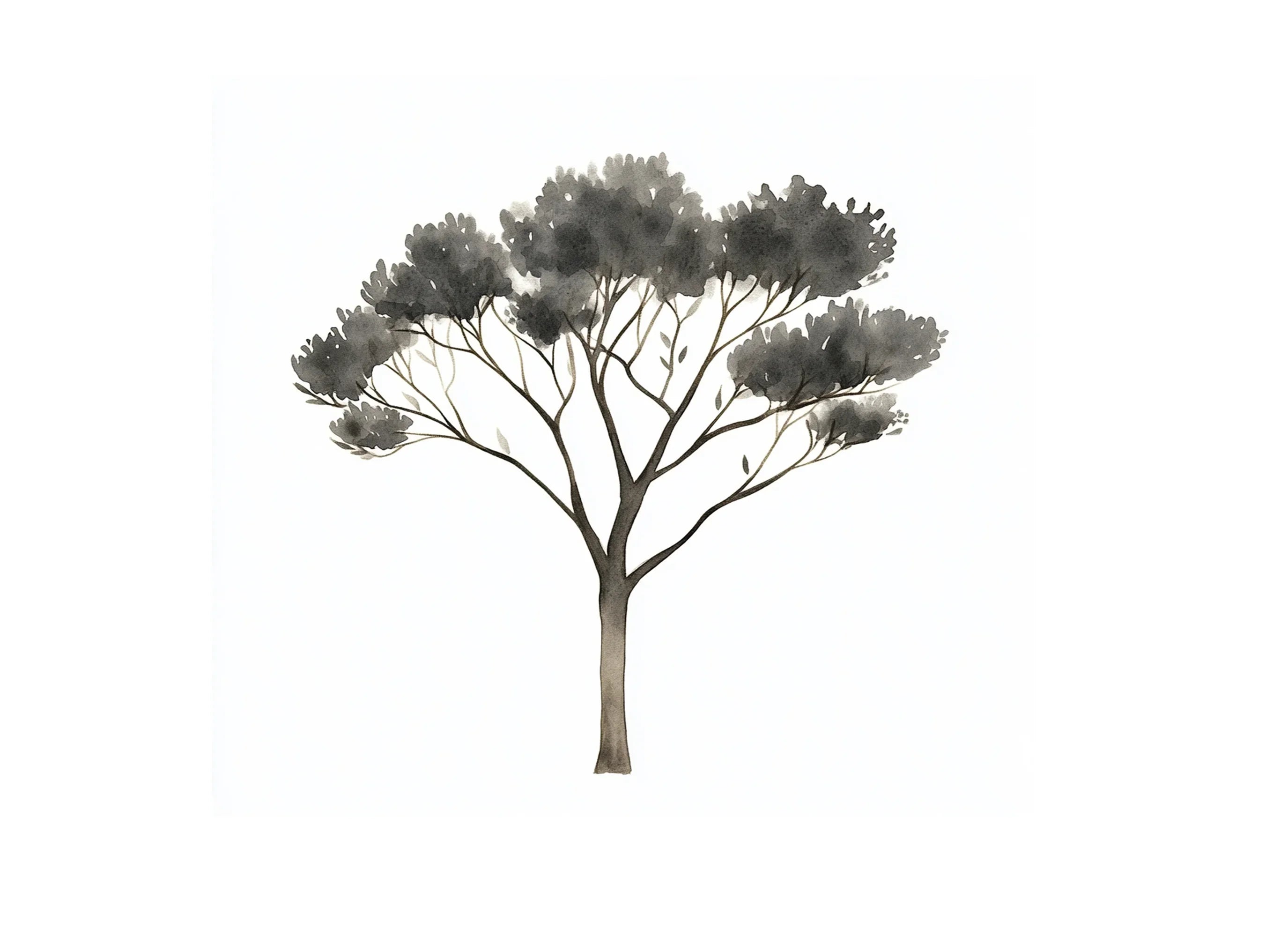 Tree Clipart Bundle