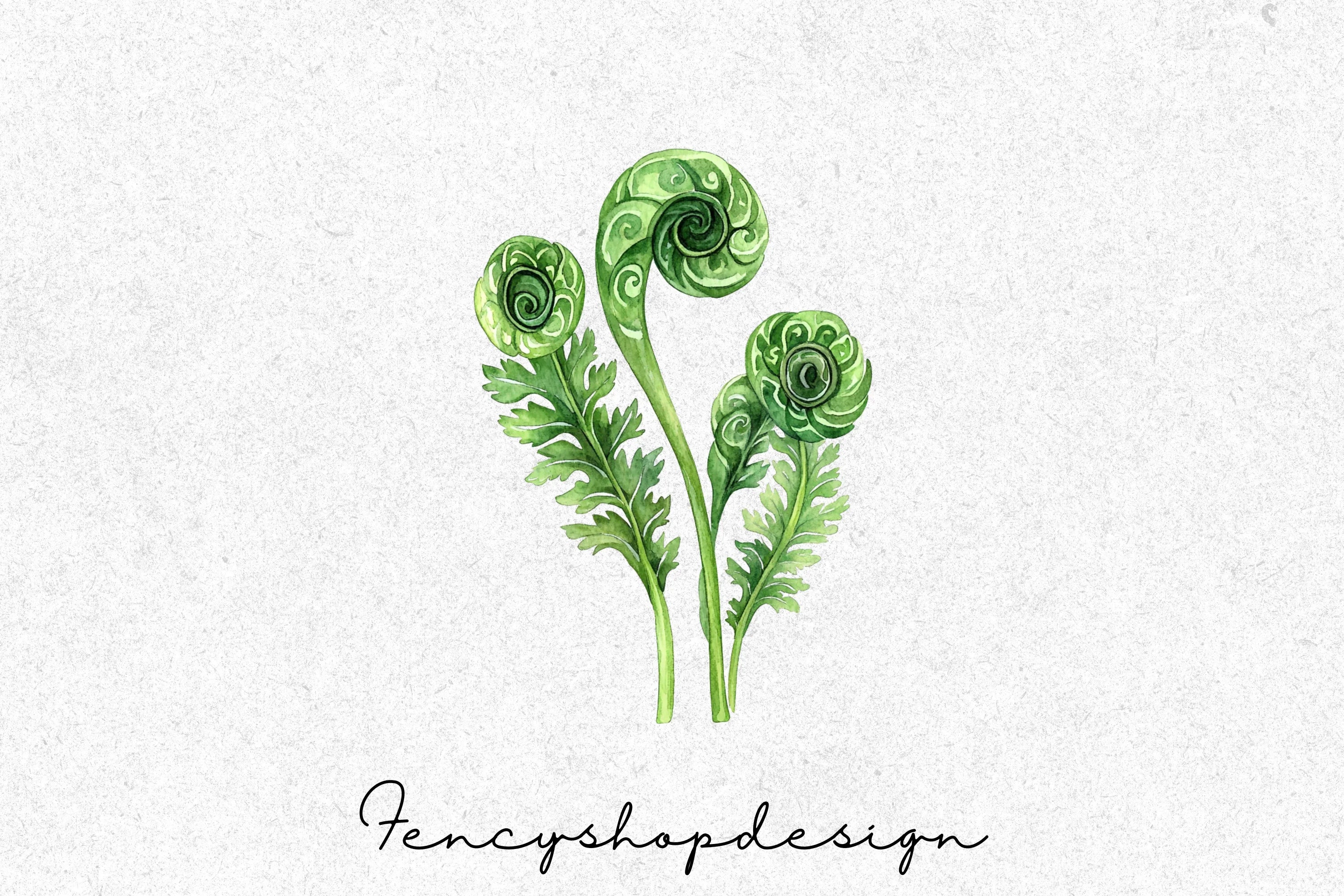 Fern Leaves Clipart Bundle