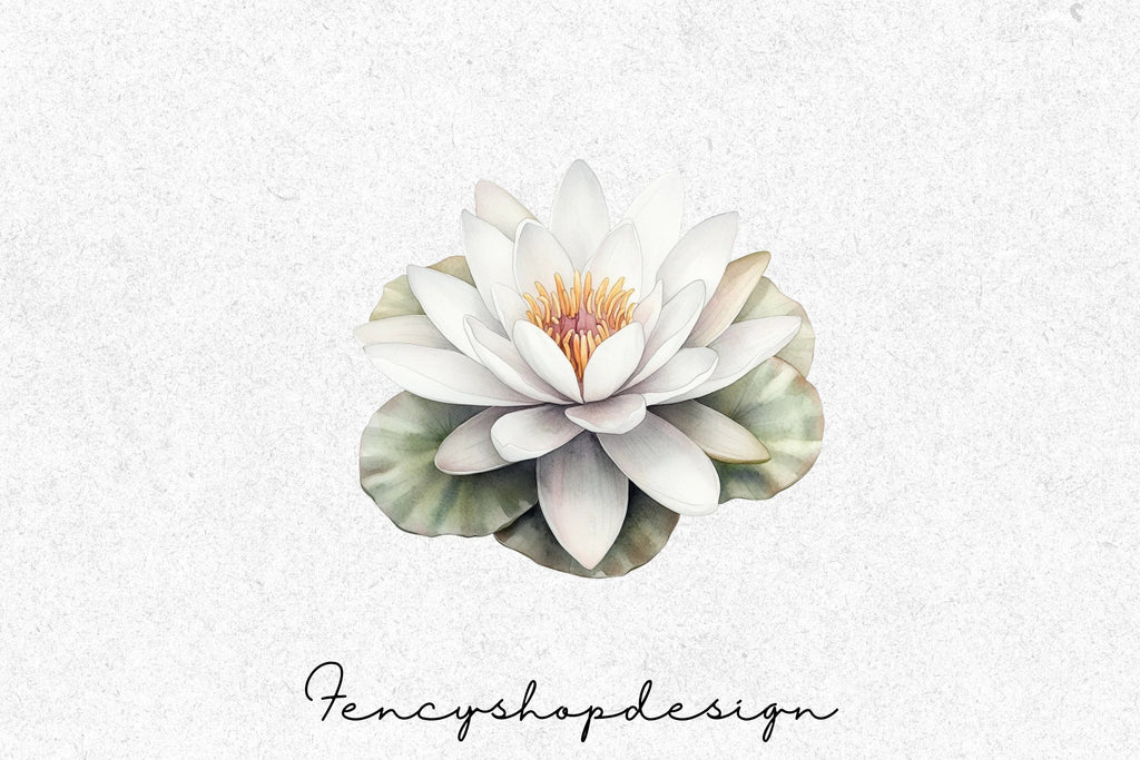 Elegant White Water Lily Clipart Bundle