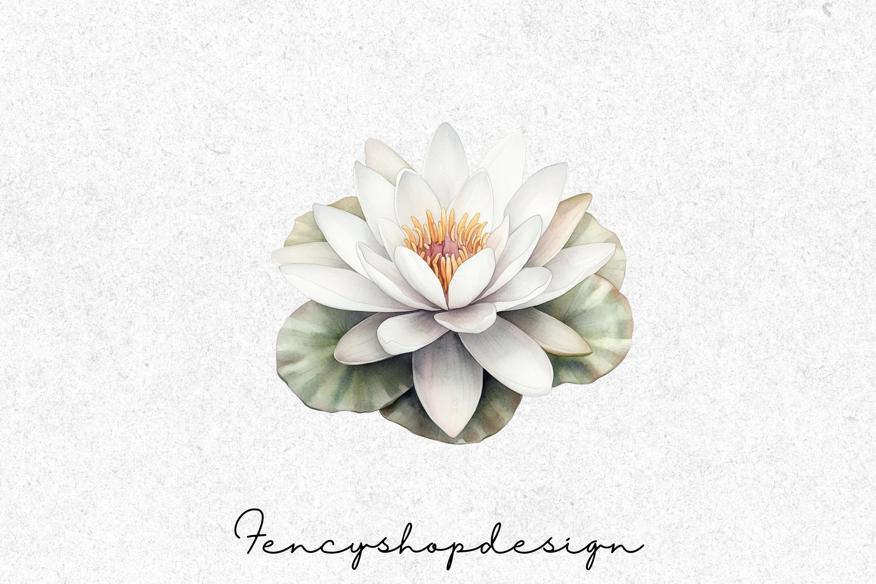Elegant White Water Lily Clipart Bundle