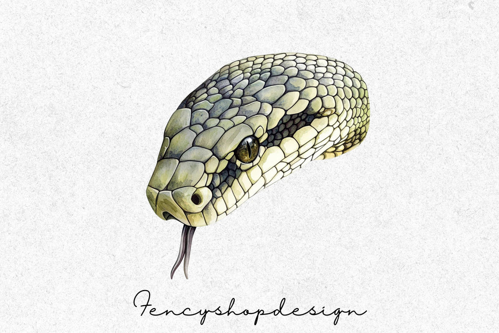 Realistic Snake Clipart Bundle
