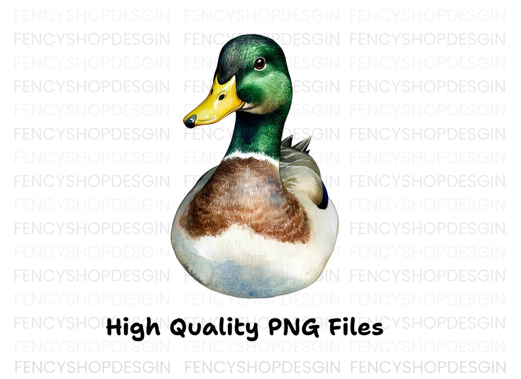 Front View Mallard Duck Clipart Bundle