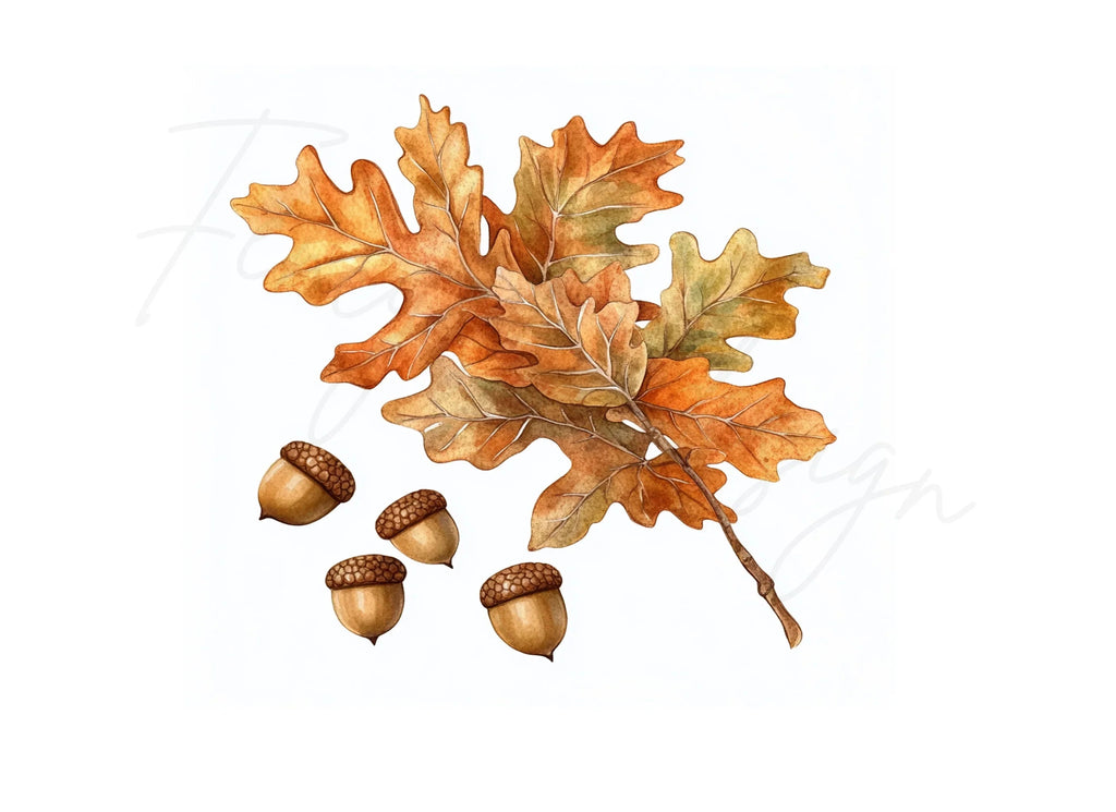 Autumn Oak Leaves and Acorns Clipart Bundle