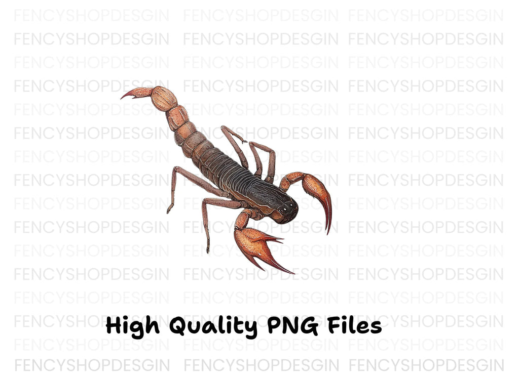 Realistic Scorpion Insect Clipart Bundle