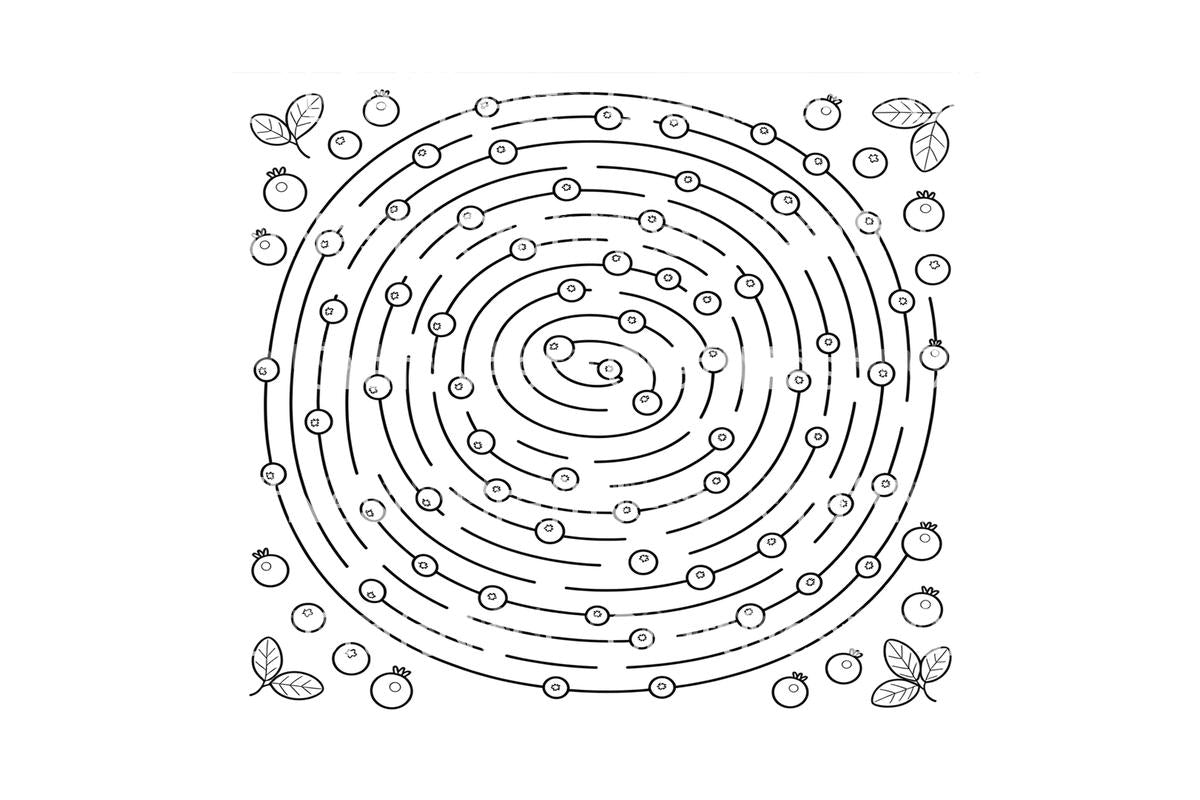 Blueberry Maze Adventure Coloring Books