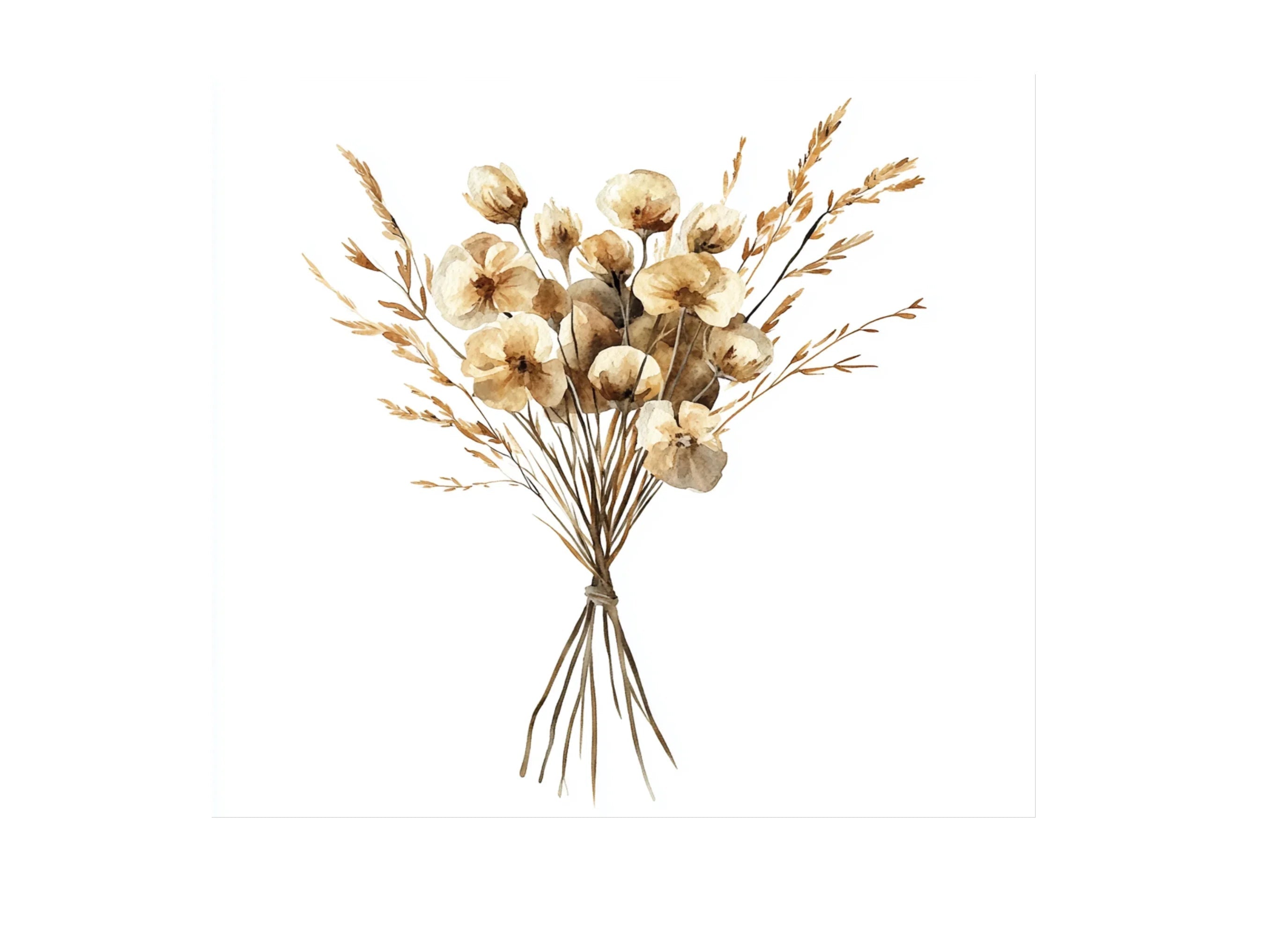 Dried Flower Bouquet Clipart Bundle