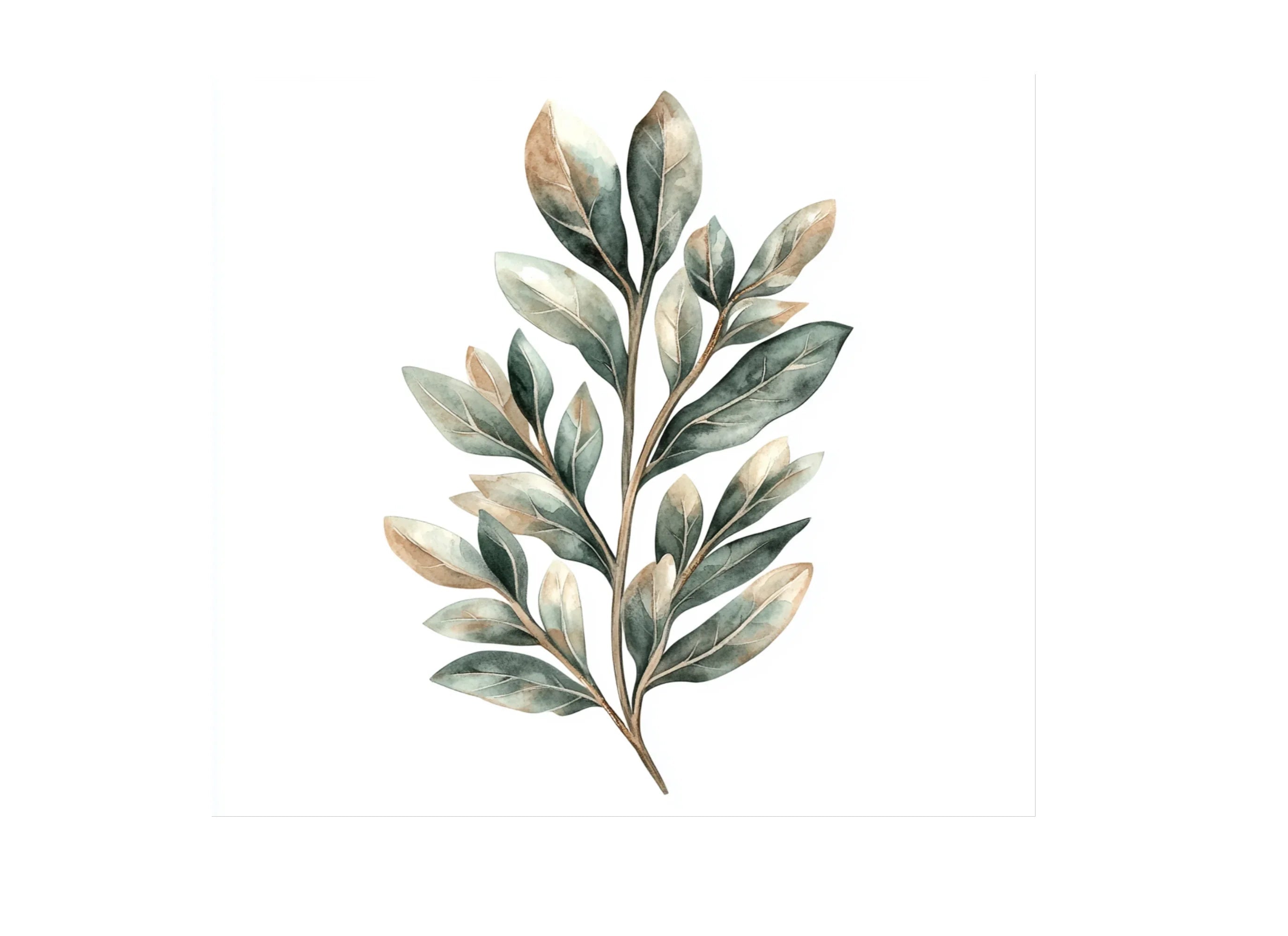 Botanical Leaves Clipart Bundle