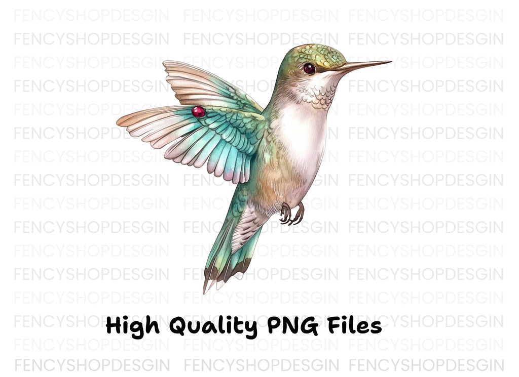 Hummingbird Clipart Bundle