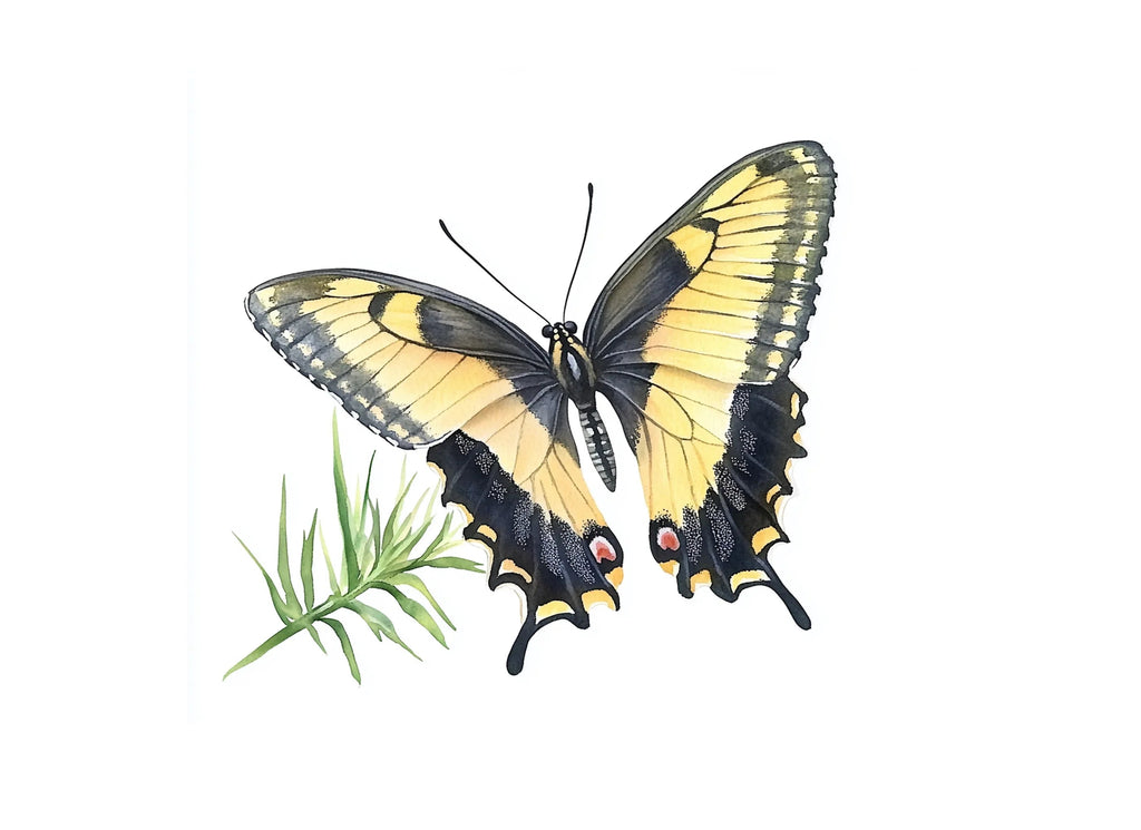 Yellow Swallowtail Butterflies Clipart Bundle