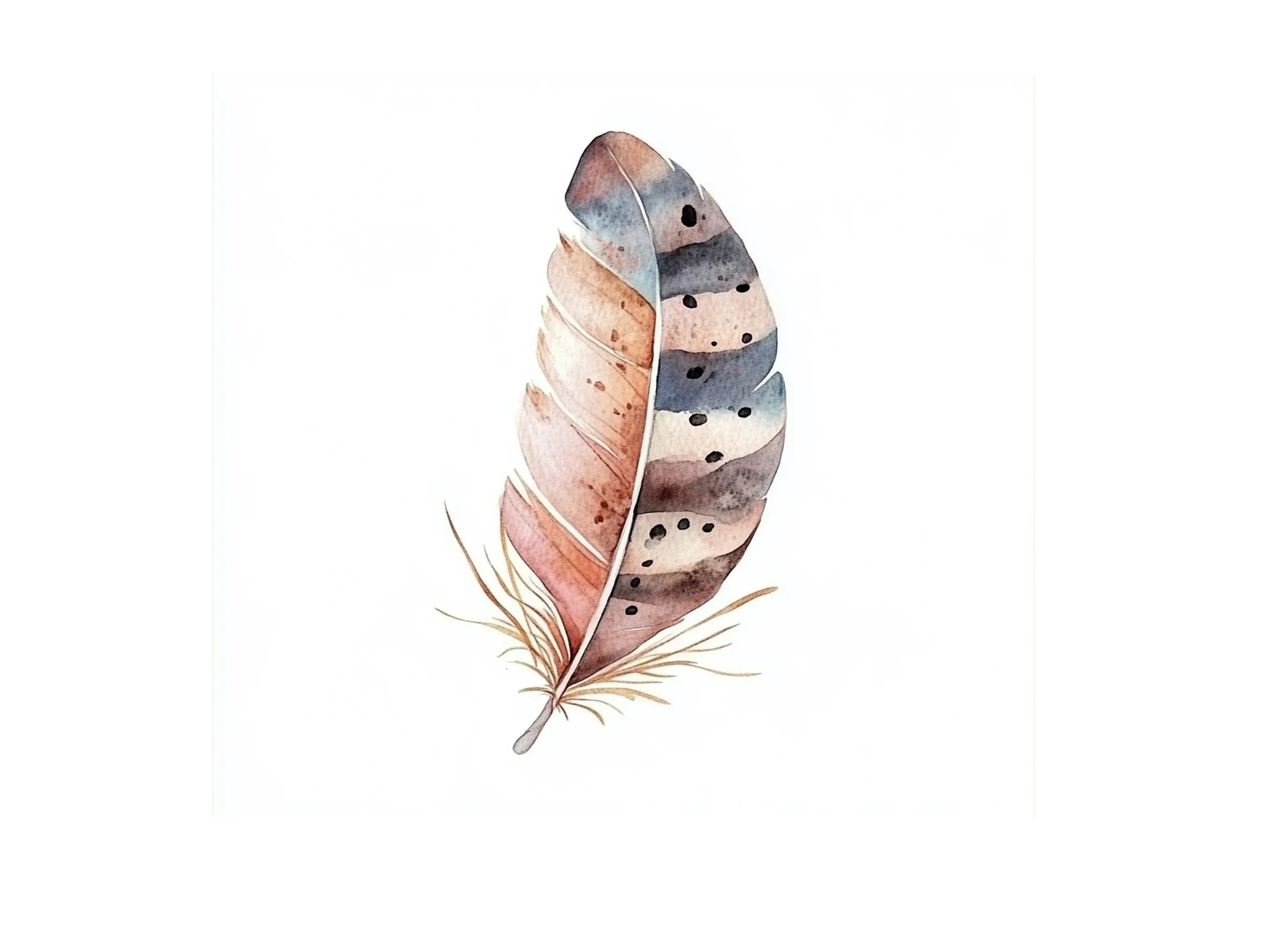 Boho Feather Clipart Bundle