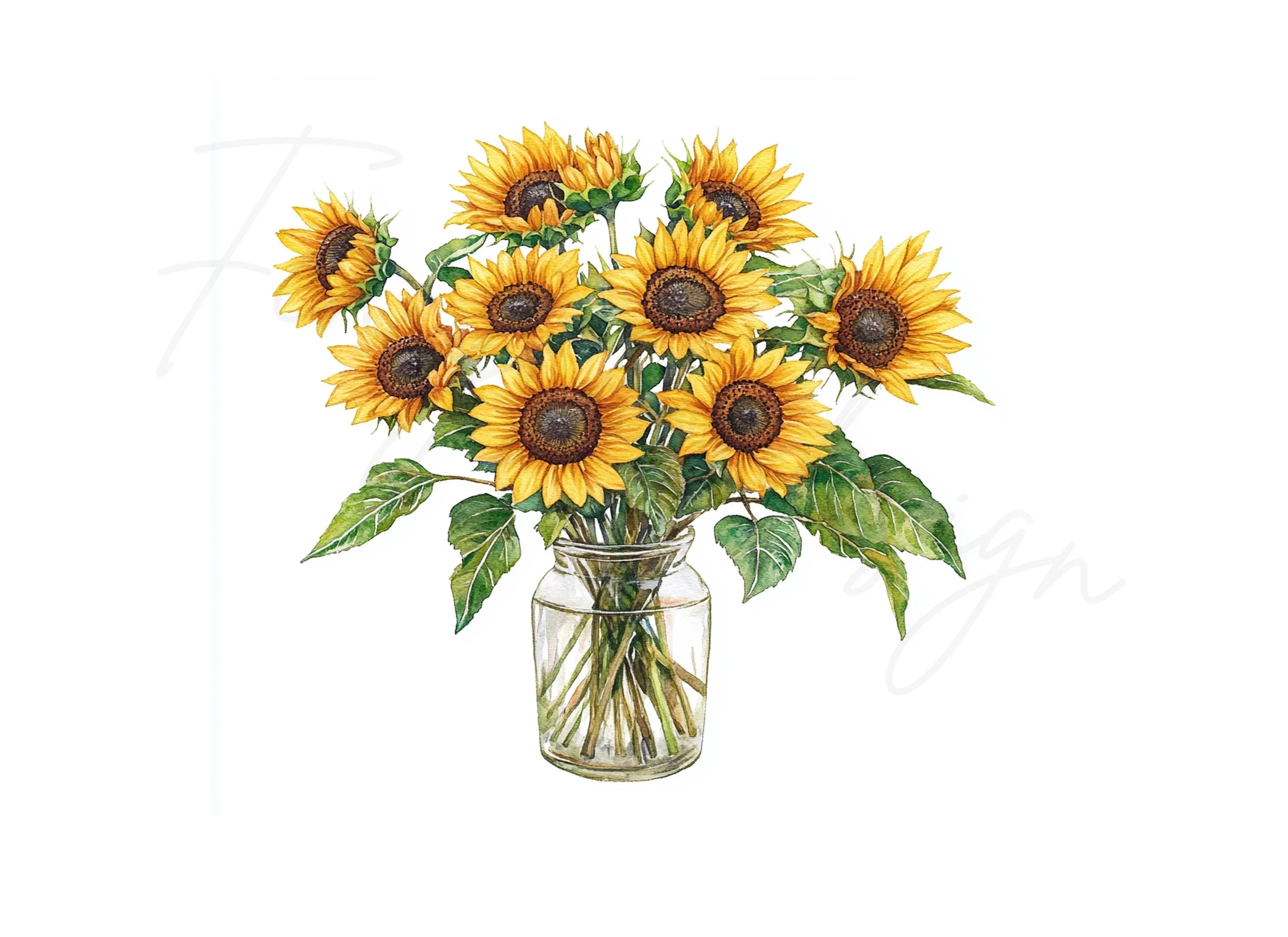 Sunny Sunflower Arrangements in Glass Jars Clipart Bundle
