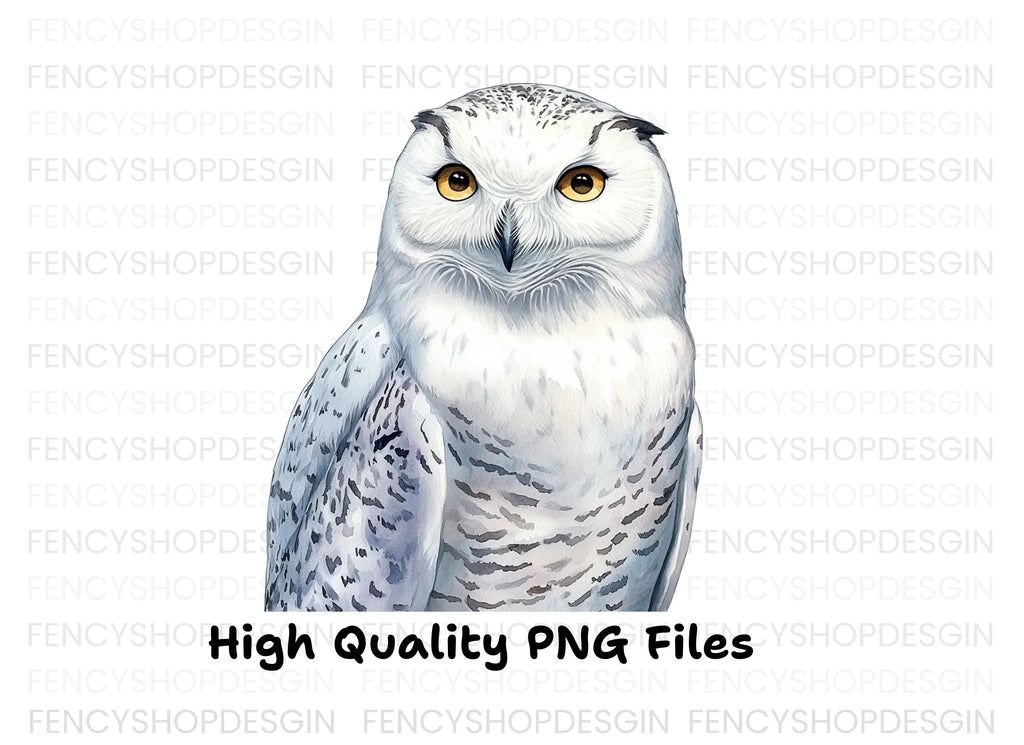 Majestic Snowy Owl Illustration Clipart Bundle
