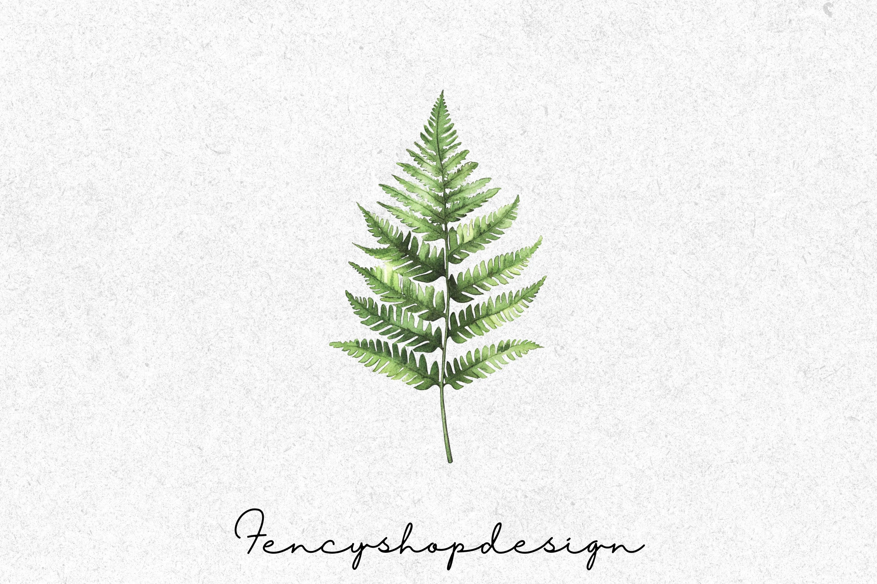 Green Fern Leaves Clipart Bundle