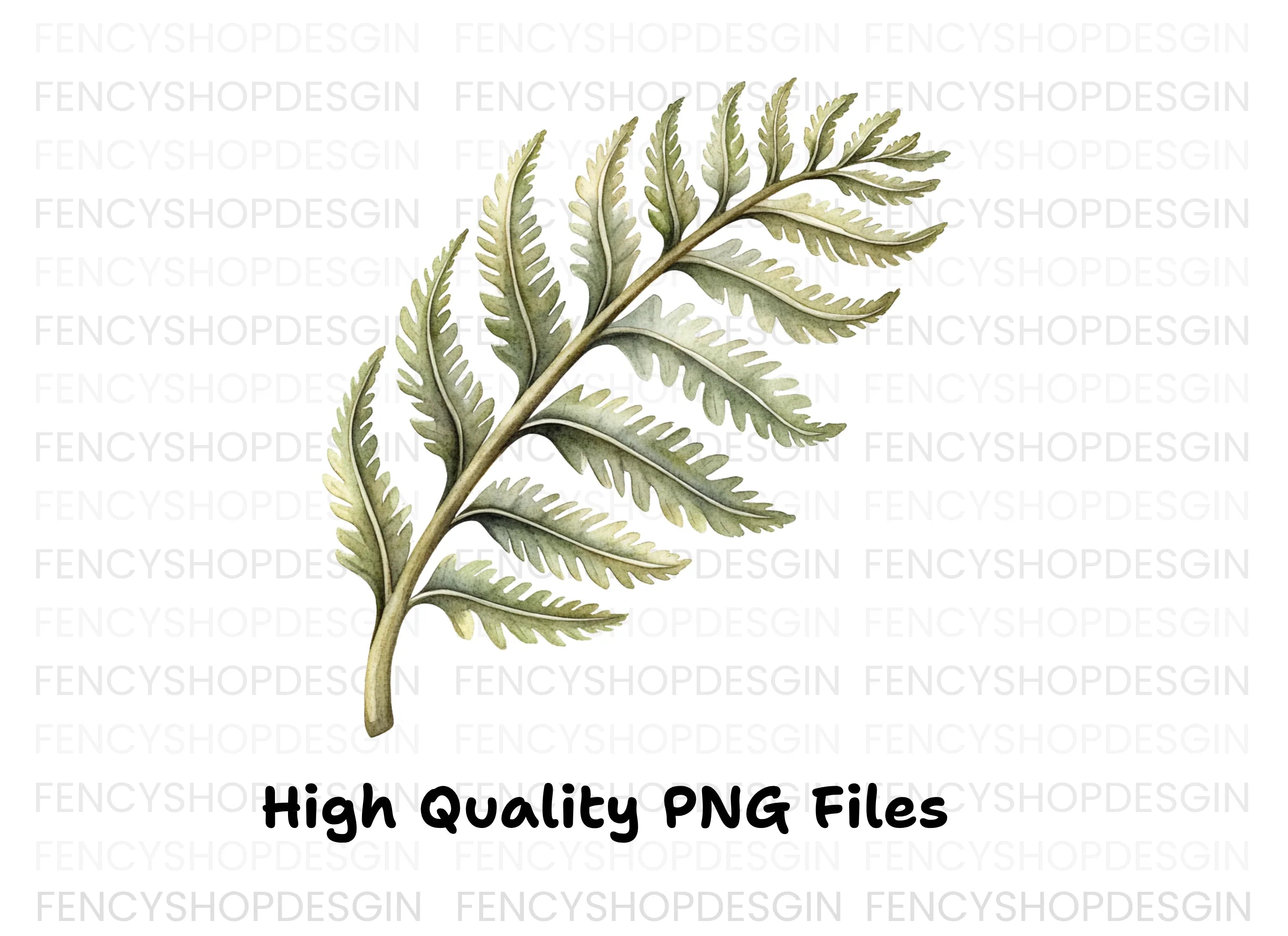 Fern Leaves Clipart Bundle