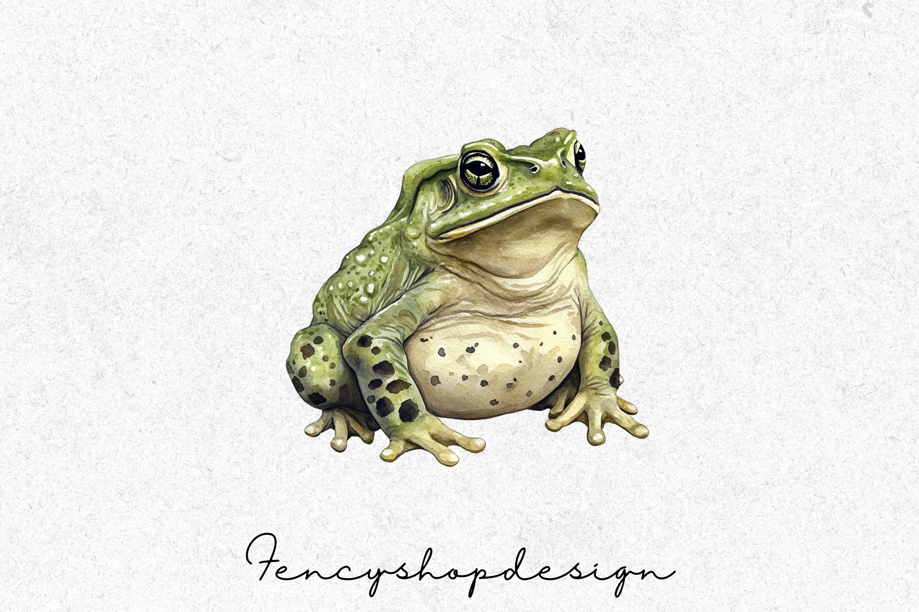 Realistic Toad Clipart Bundle