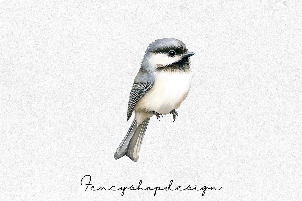 Cute Chickadee Bird Clipart Bundle