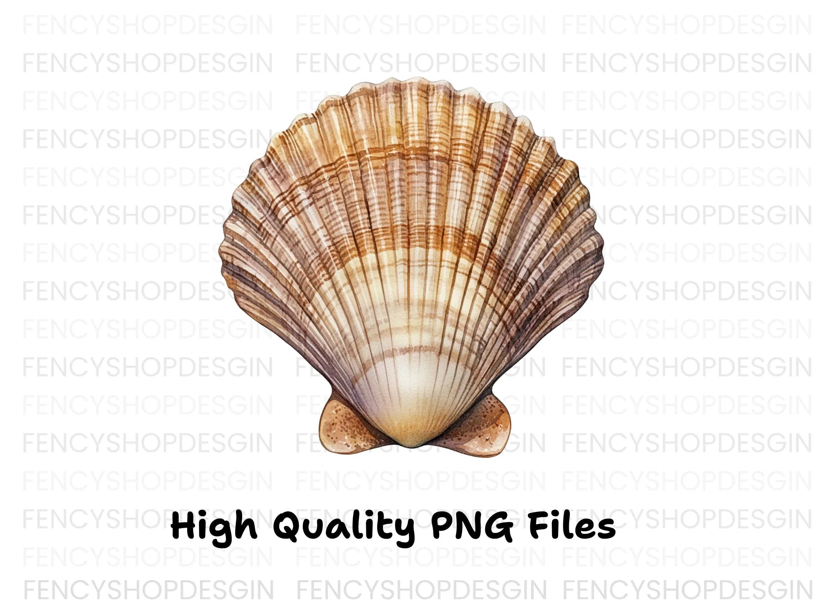 Scallop Shells Clipart Bundle