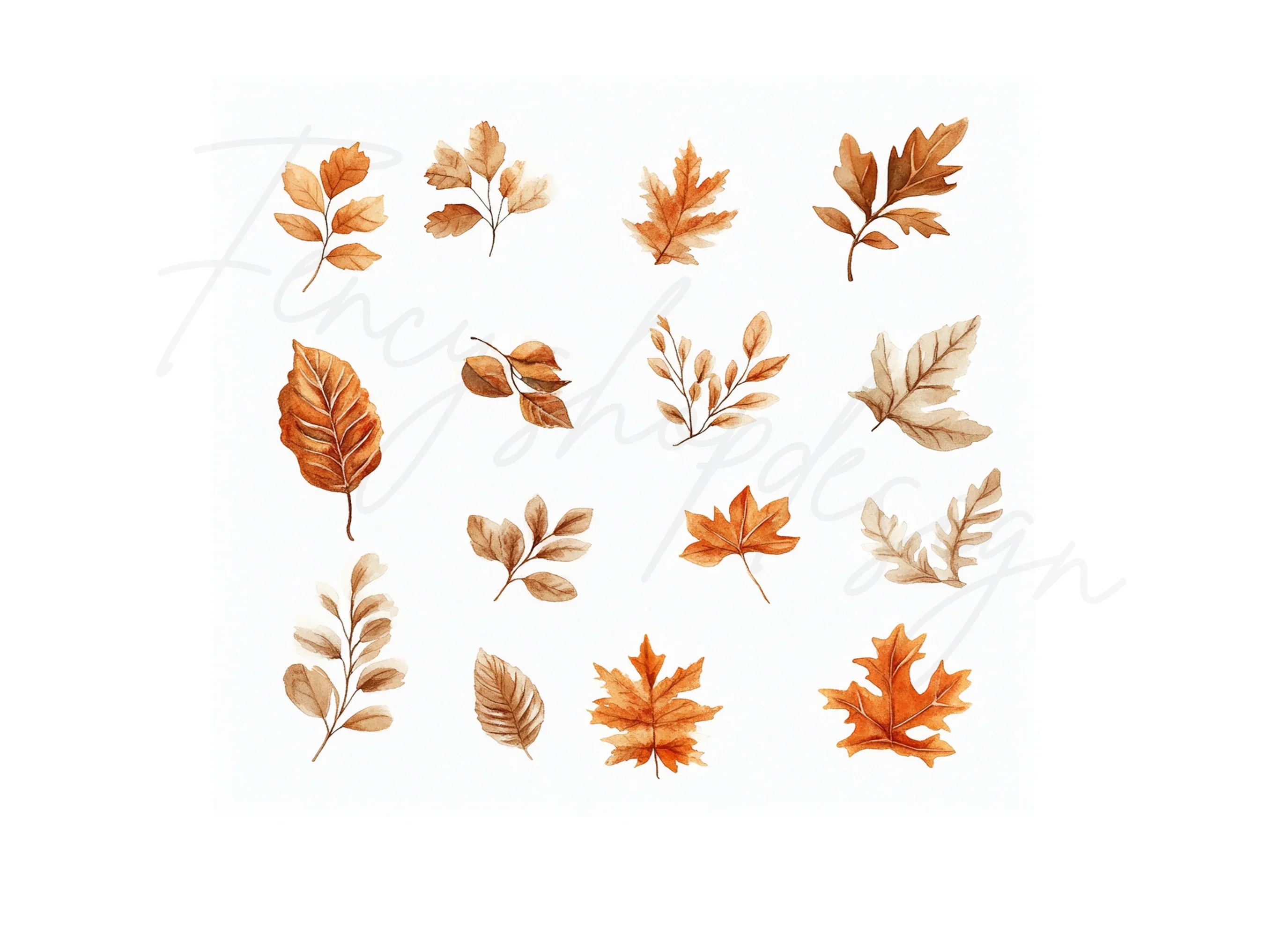 Autumn Leaves Clipart Bundle