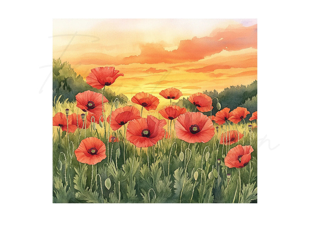 Poppy Field Sunset Landscape Clipart Bundle