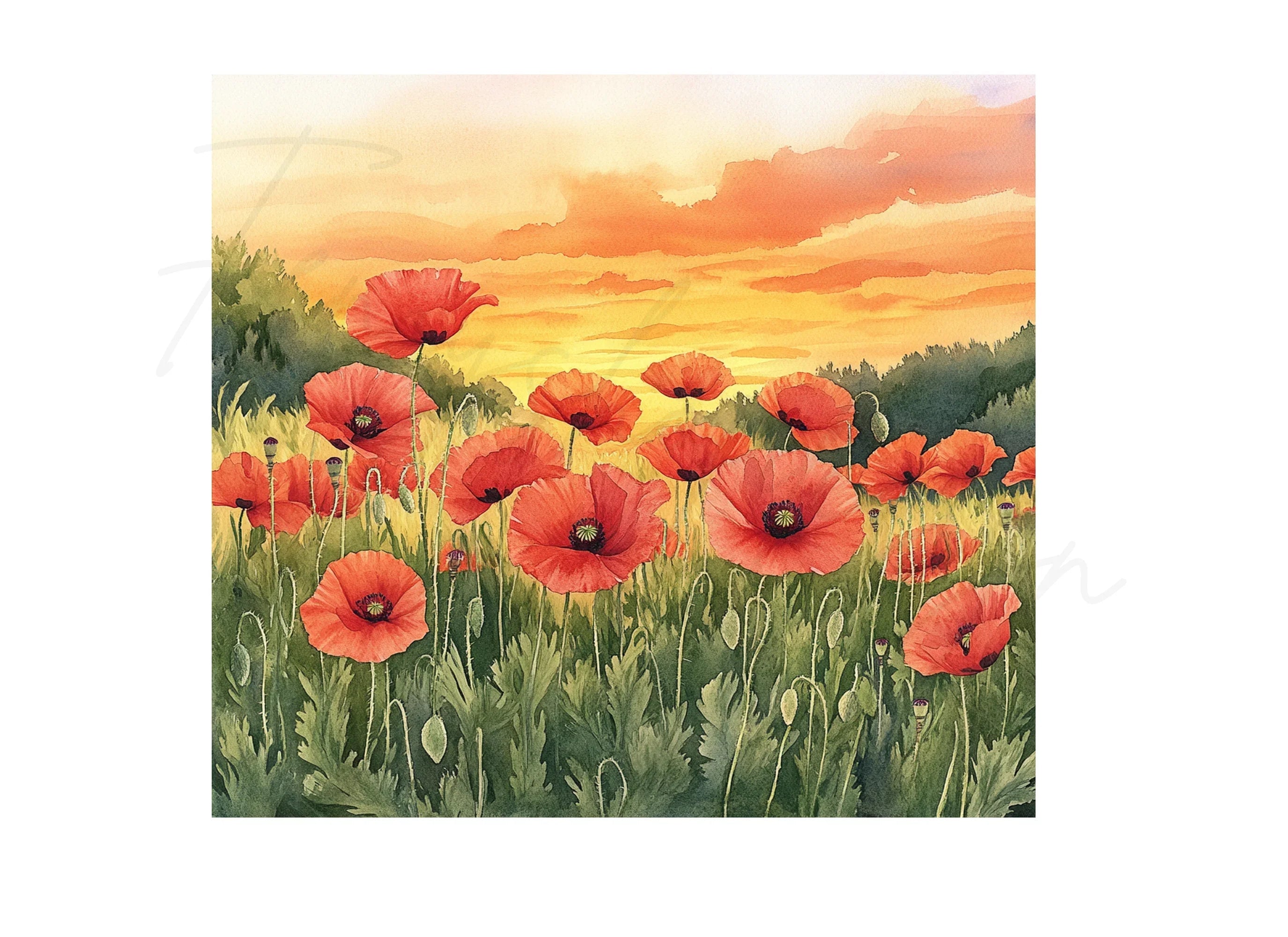 Poppy Field Sunset Landscape Clipart Bundle