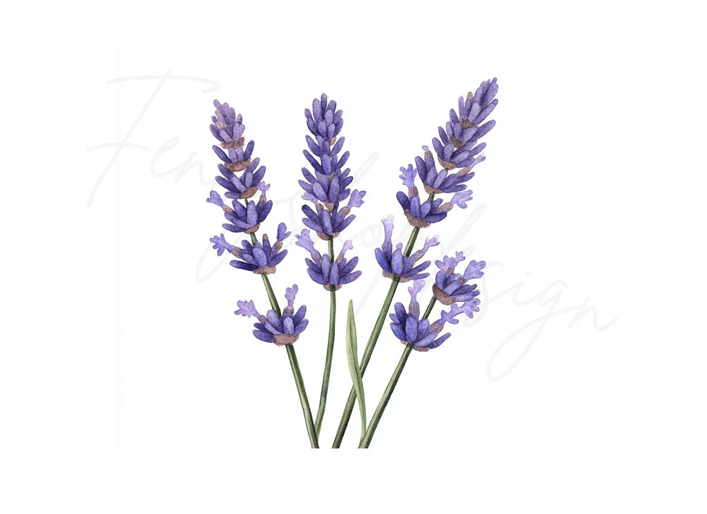 Beautiful Lavender Sprigs Clipart Bundle