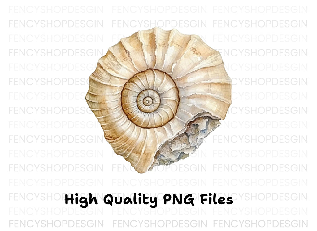 Ammonite Shells Clipart Bundle