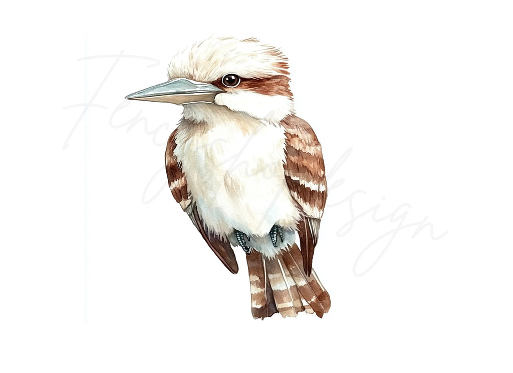 Cute Kookaburra Clipart Bundle