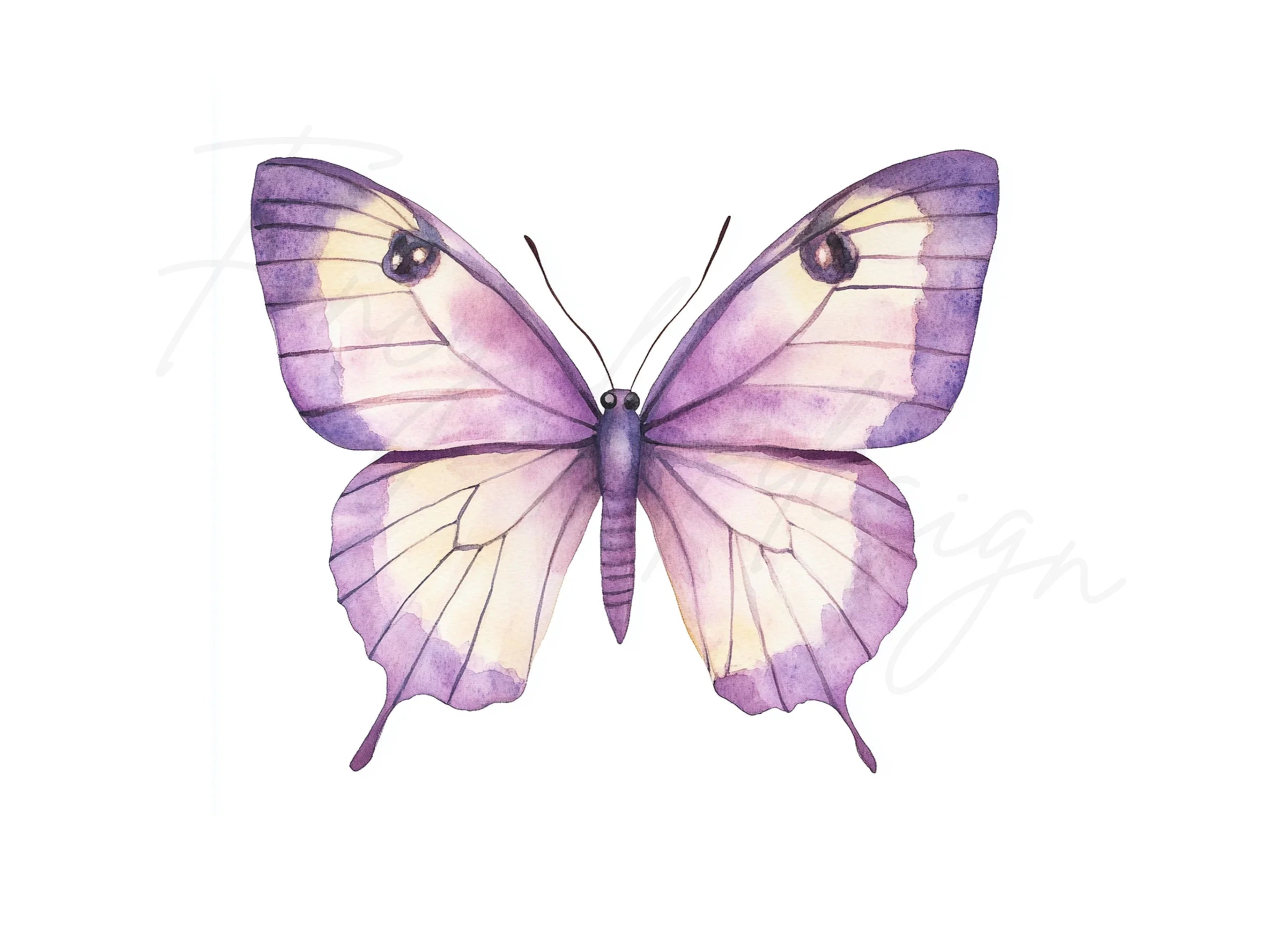 Elegant Butterfly Clipart Bundle