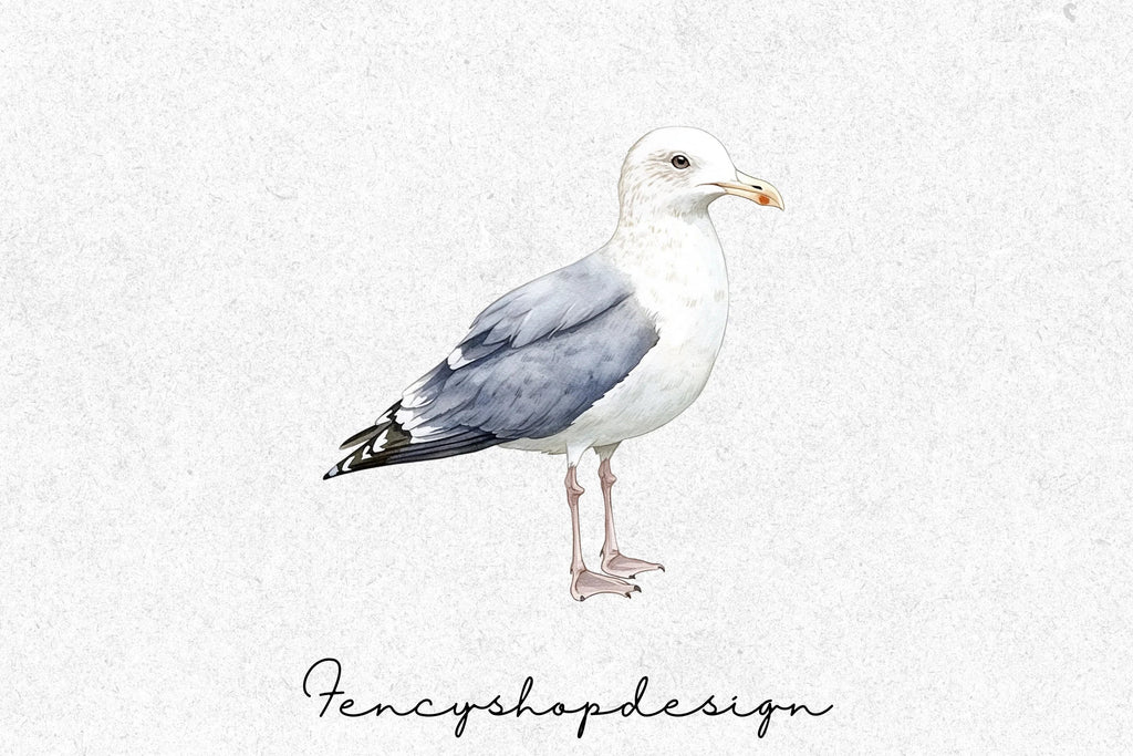 Seagull Clipart Bundle