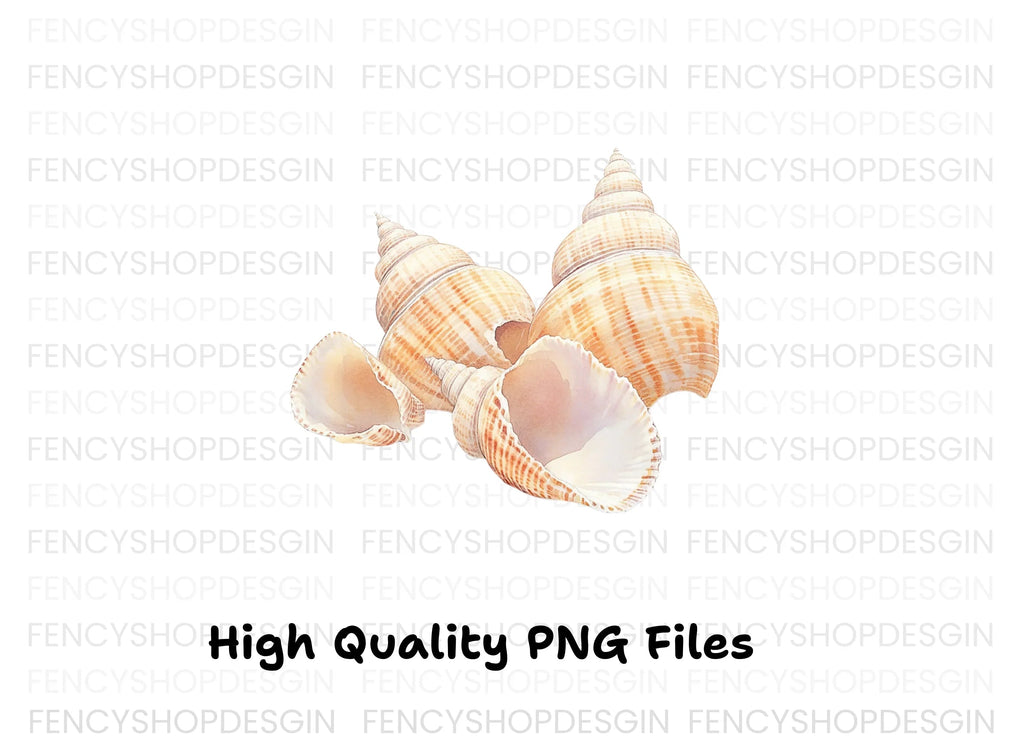 Elegant Seashells Clipart Bundle