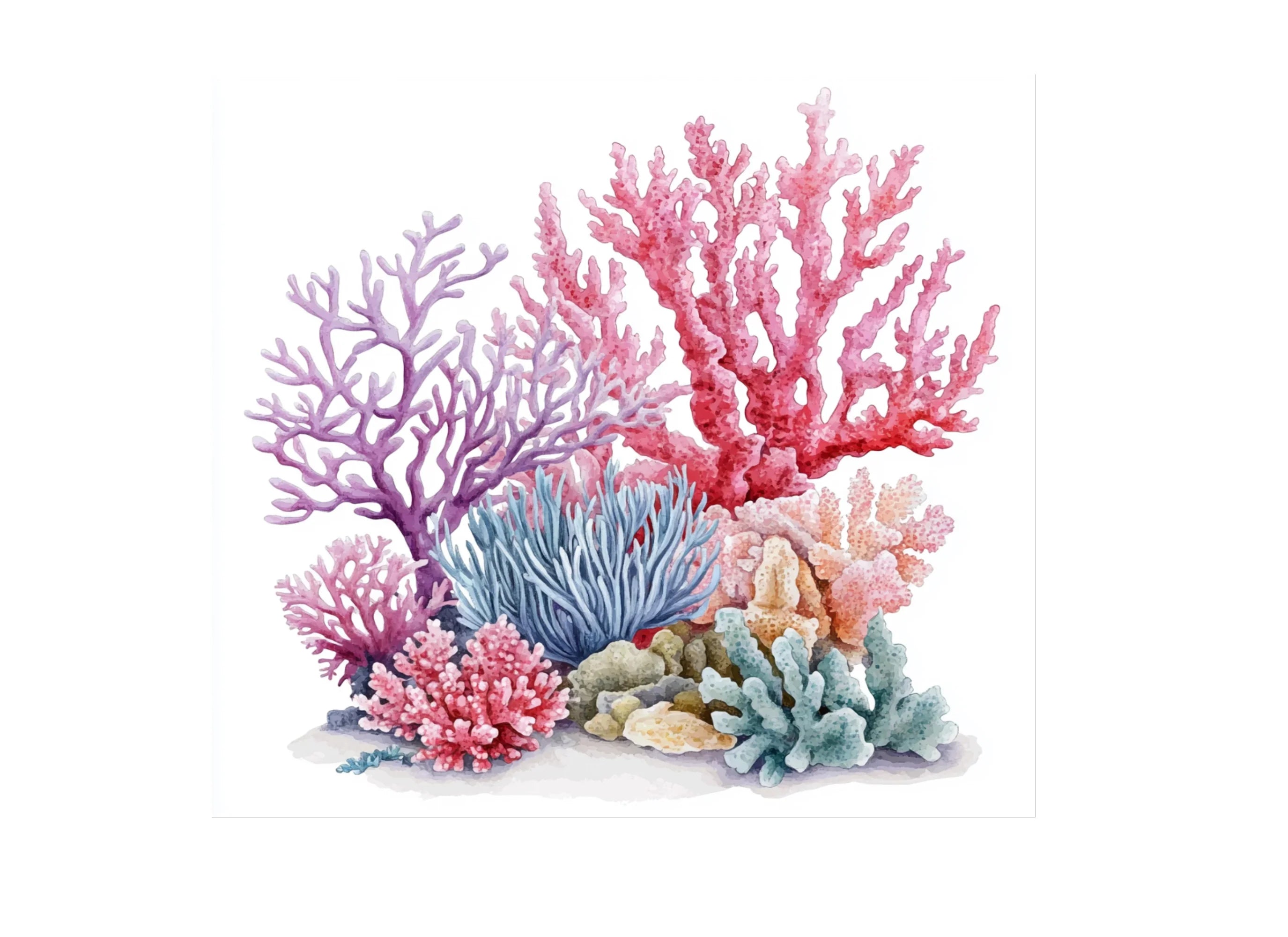 Colorful Coral Reef Elements Clipart Bundle