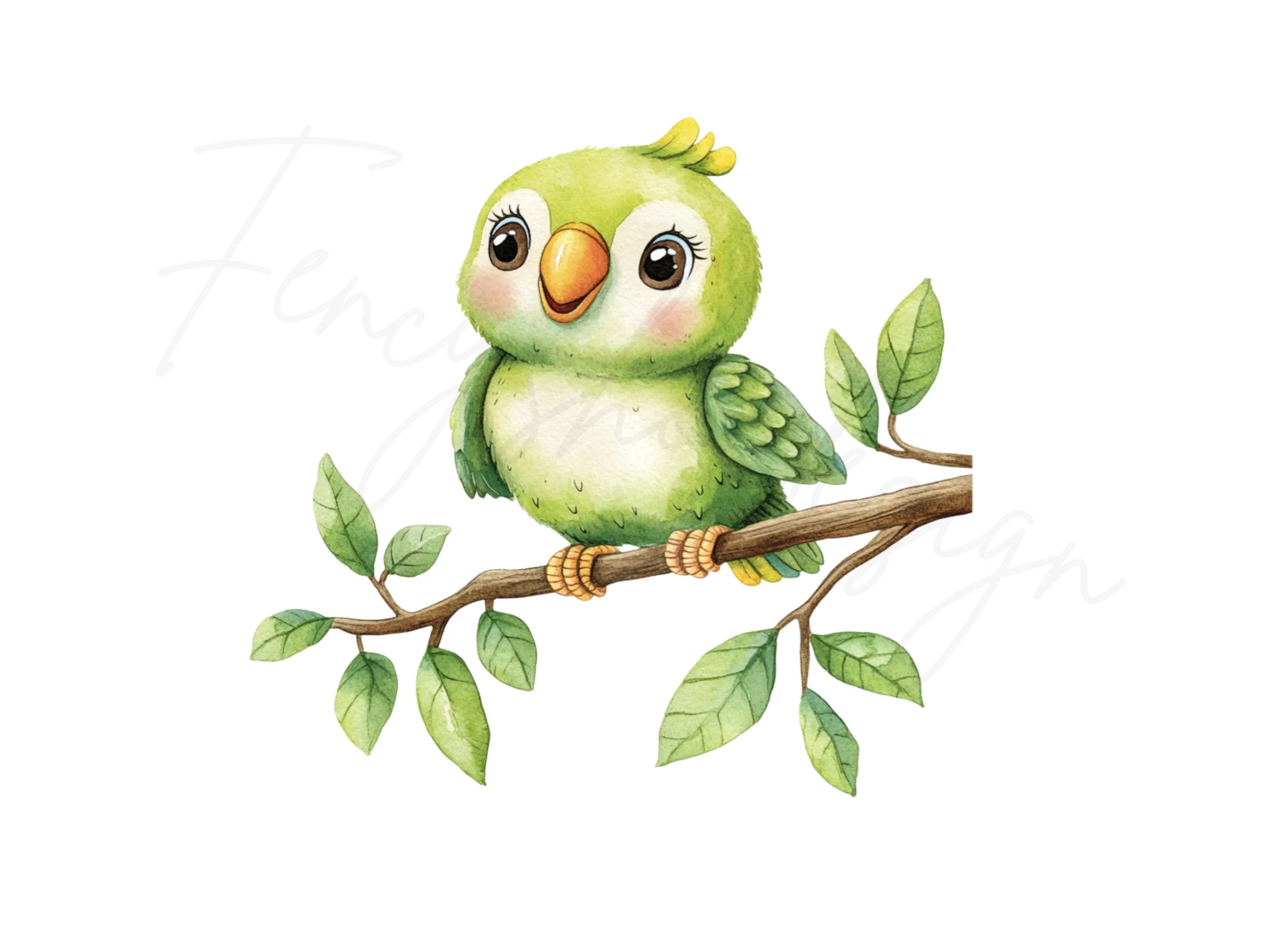 Cute Parrot Clipart Bundle
