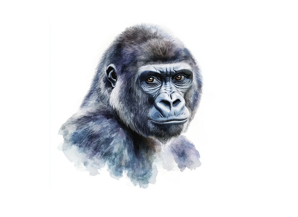 Animals Clipart
