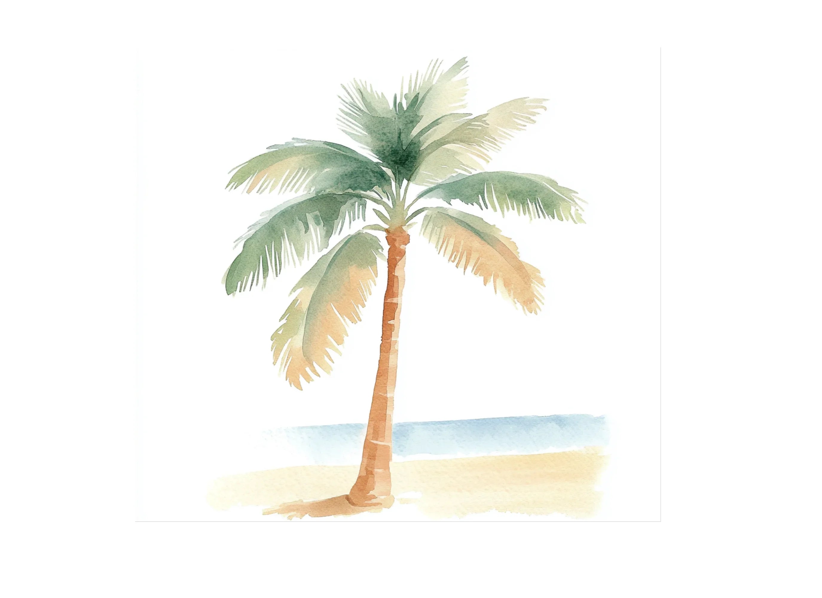Tropical Palm Trees Clipart Bundle