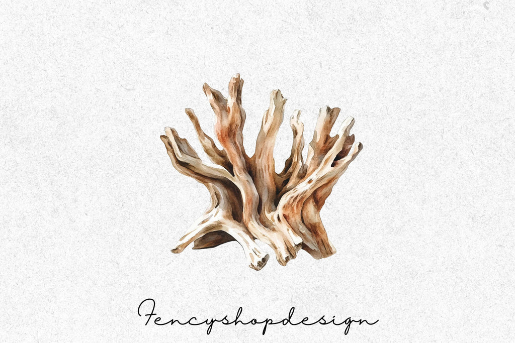 Driftwood Clipart Bundle