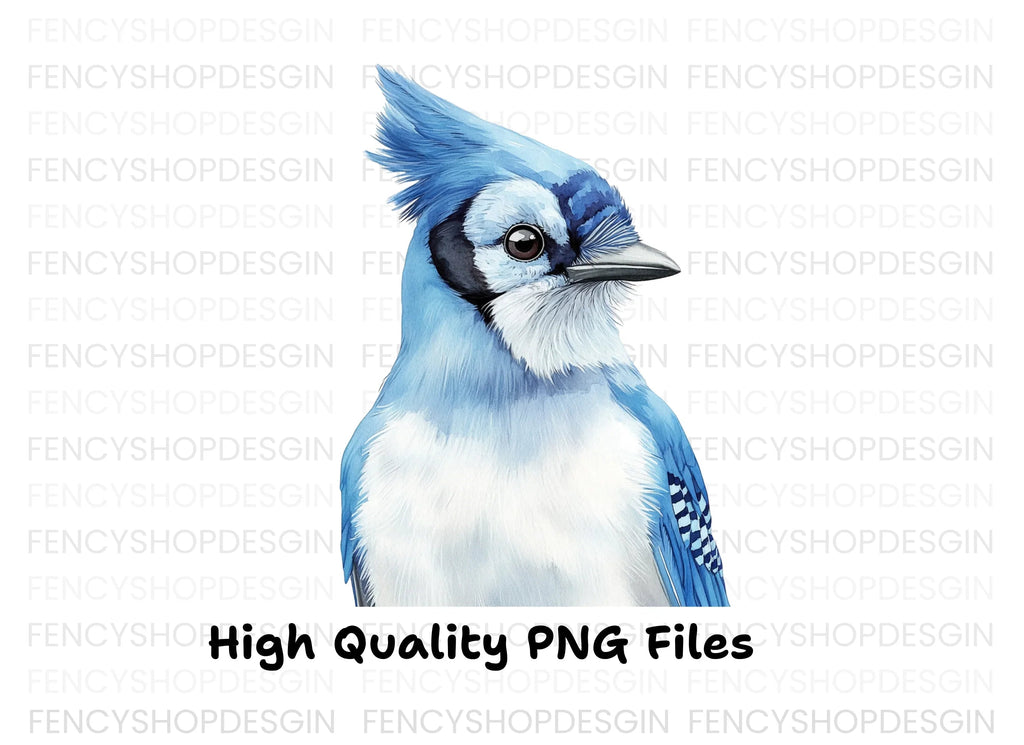 Blue Jay Bird Clipart Bundle