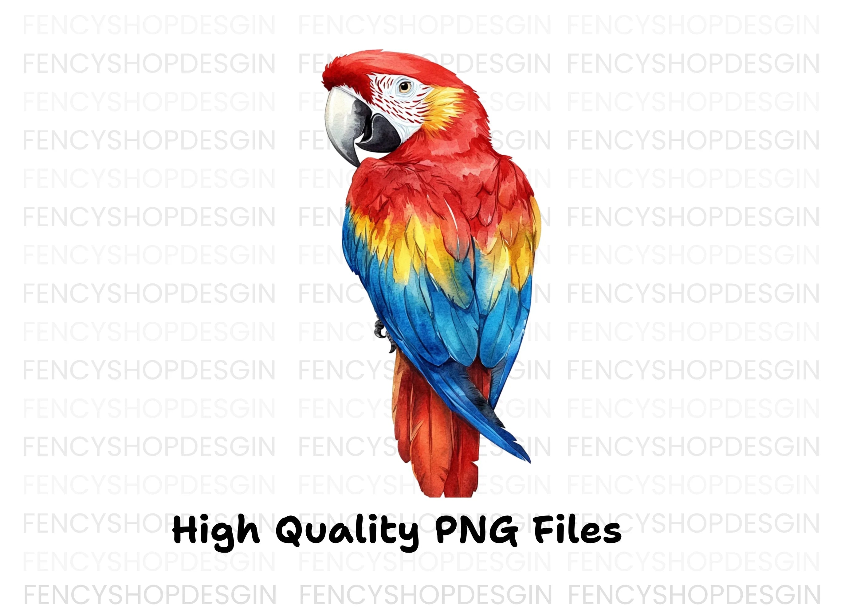 Vibrant Macaw Parrot Clipart Bundle