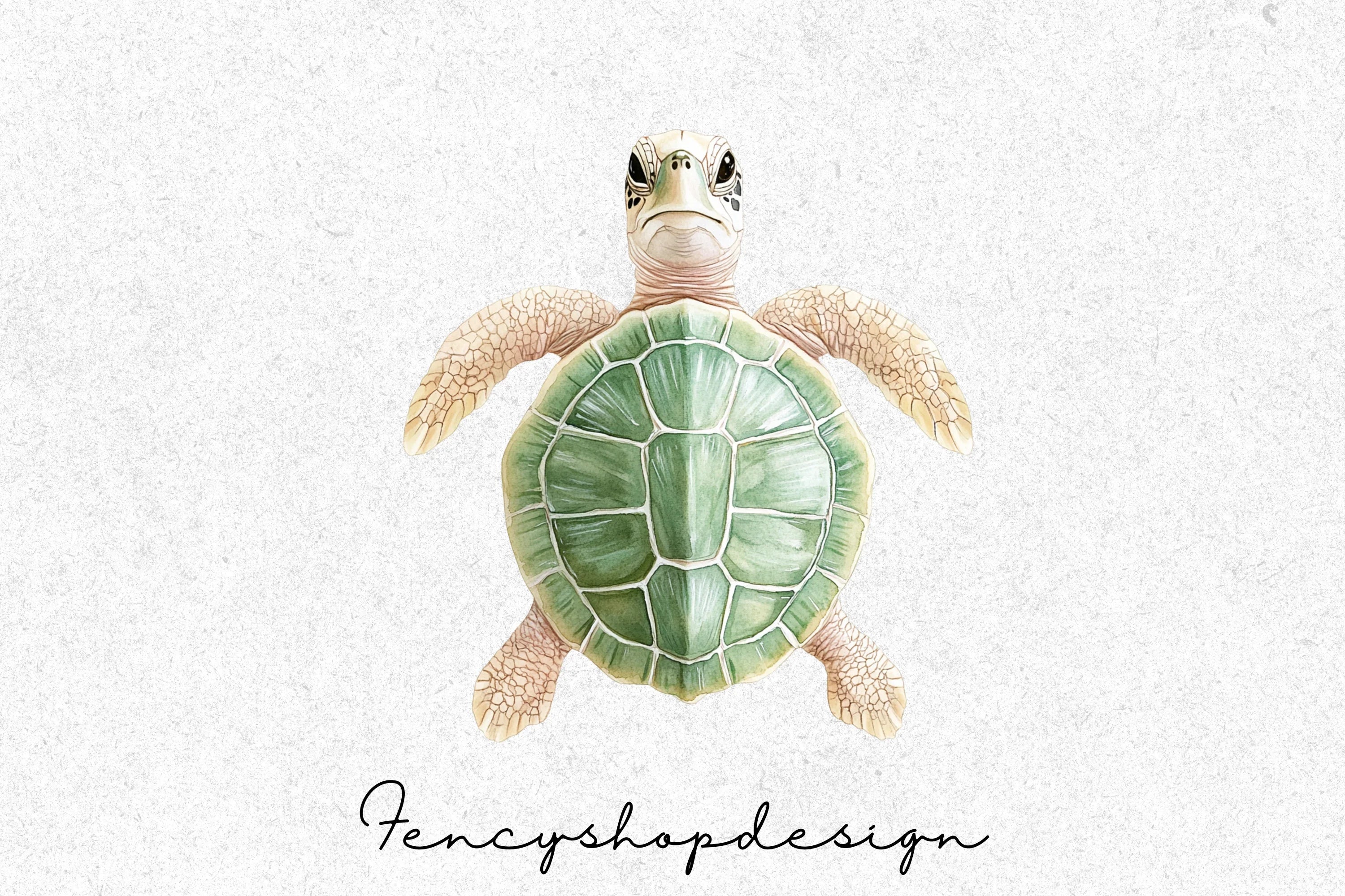 Baby Sea Turtle Clipart Bundle