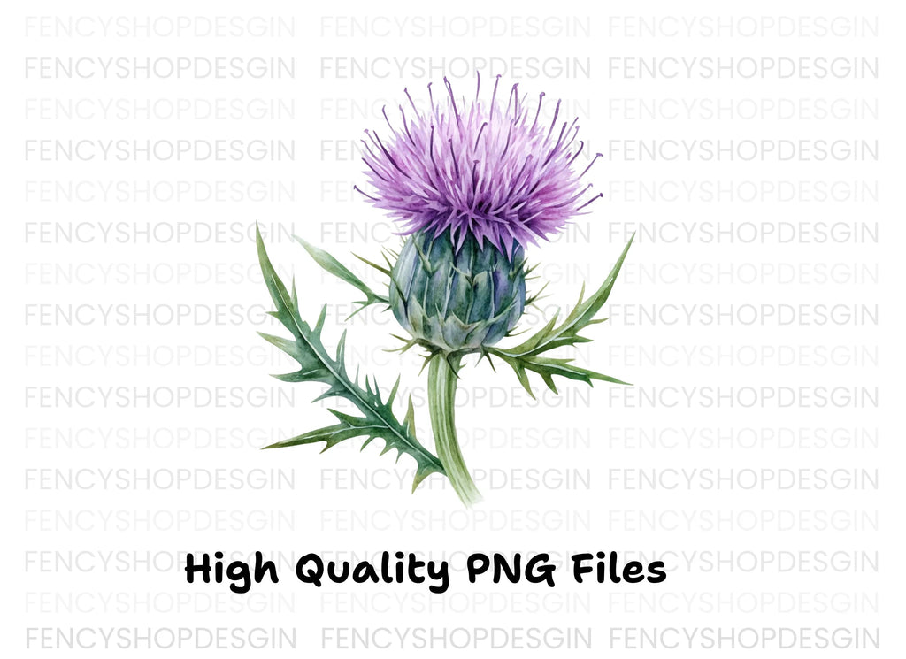 Scottish Thistle Flower Clipart Bundle