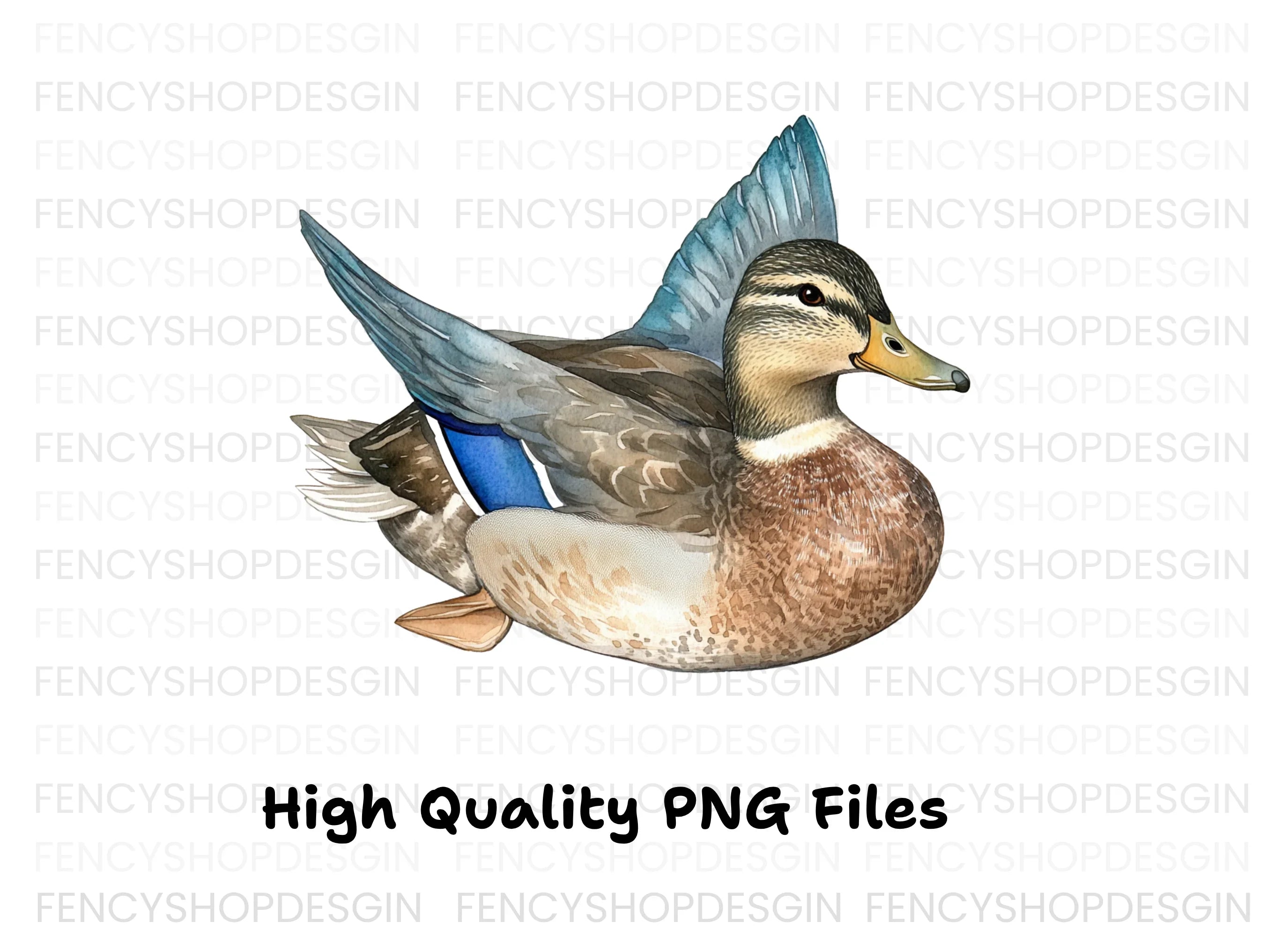Mallard Duck Female Clipart Bundle