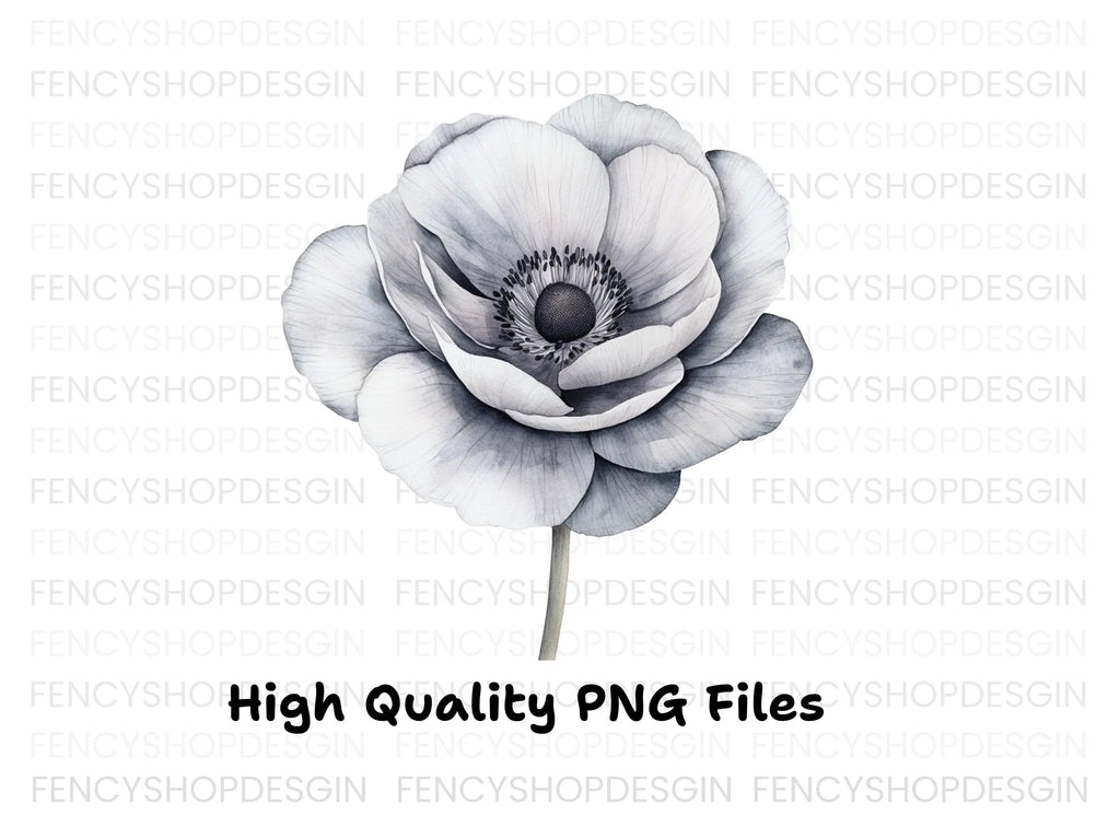Anemone Clipart Bundle