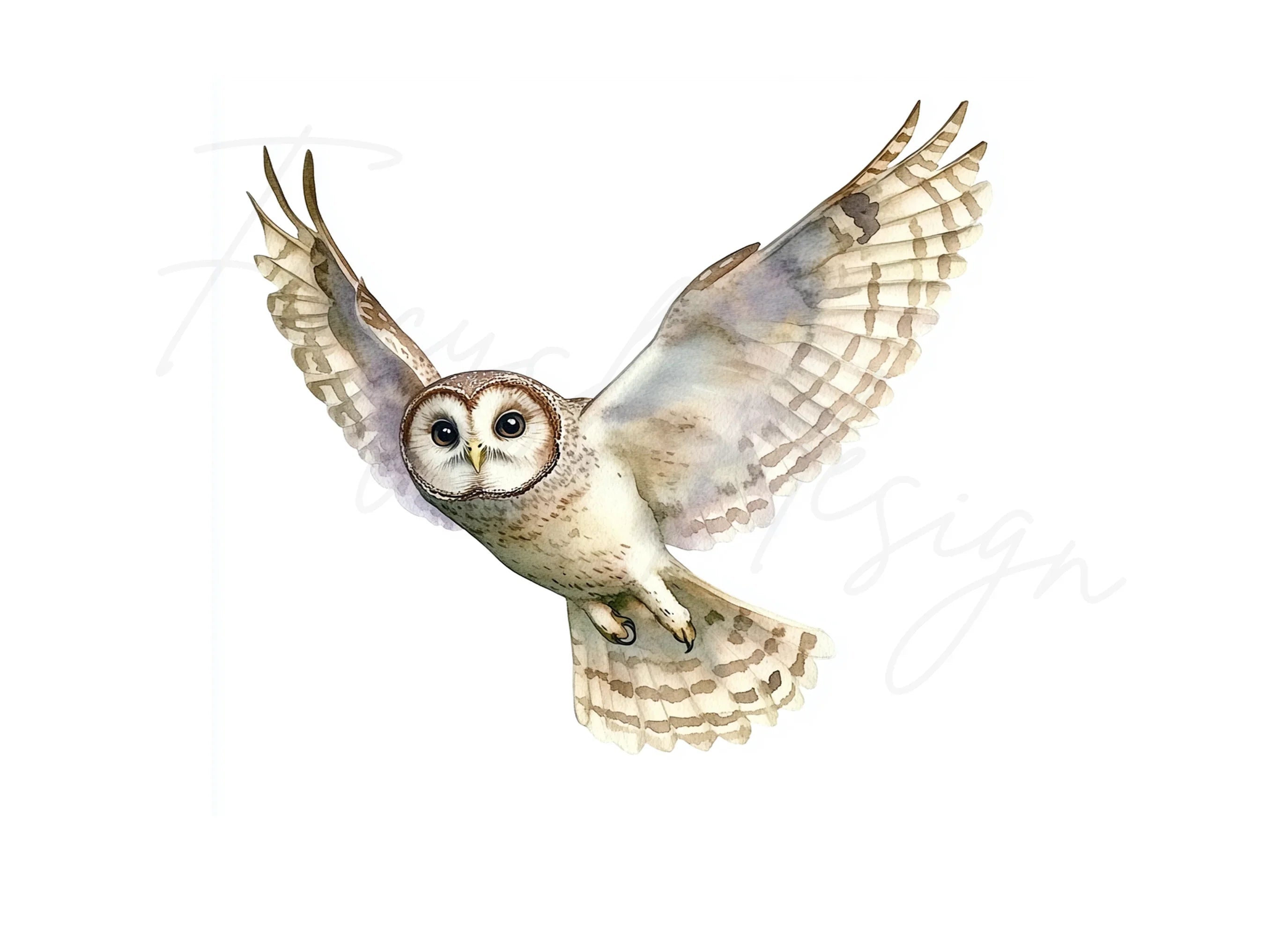 Graceful Flying Owl Clipart Bundle